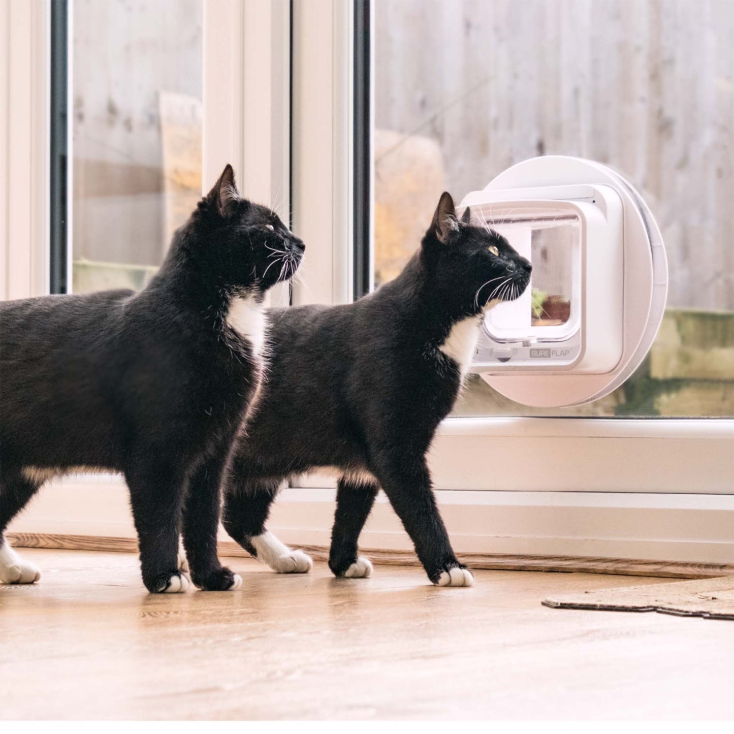 SureFlap Microchip Cat Flap Connect