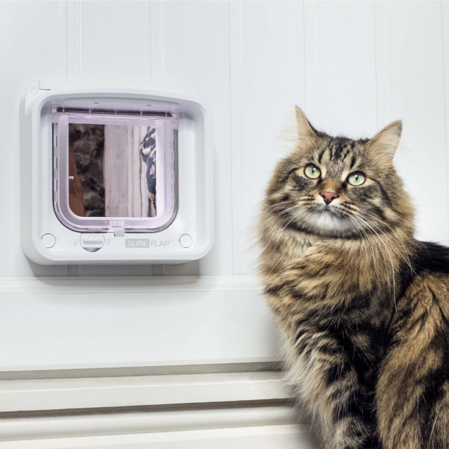 SureFlap Microchip Cat Flap Connect