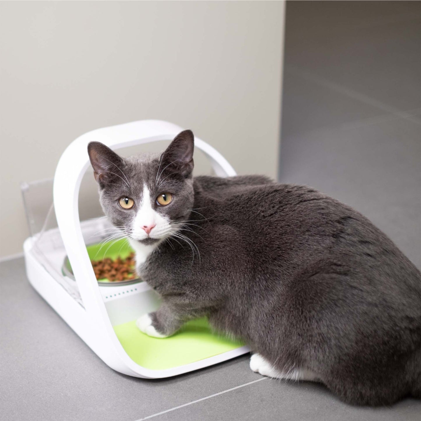 SureFeed Microchip Pet Feeder Connect