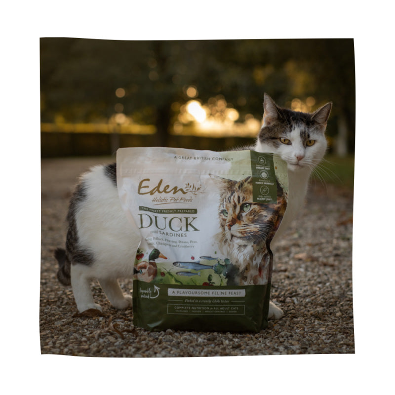 Eden Feline Feast Duck & Sardine Dry Cat Food