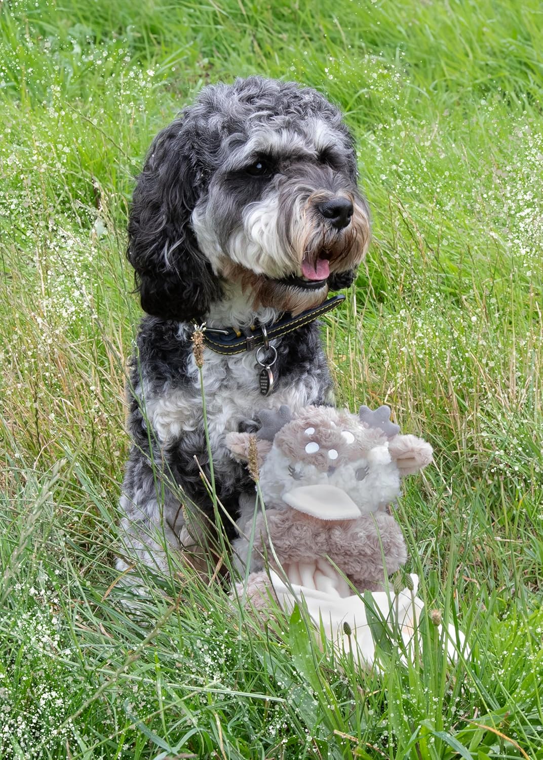Rosewood Cupid & Comet Rebel Reindeer Plush Dog Toy & Soother