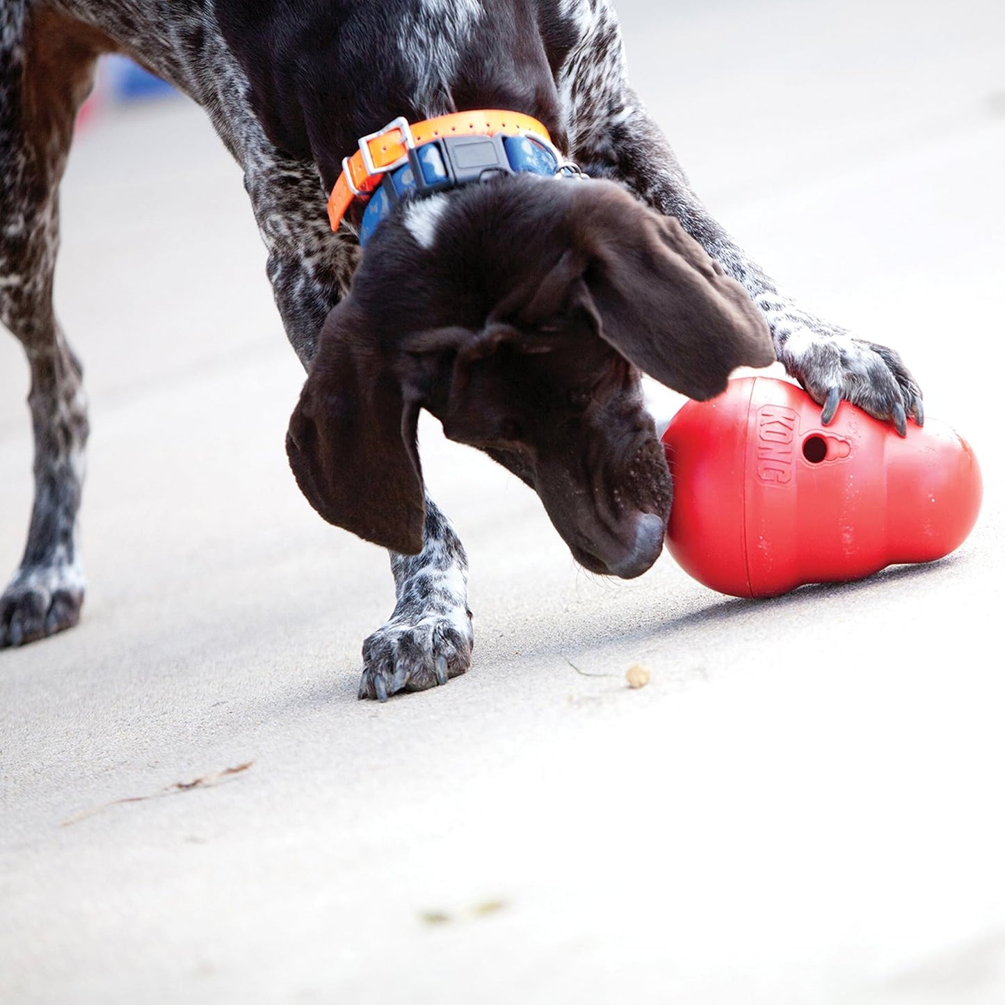 KONG Wobbler - Small
