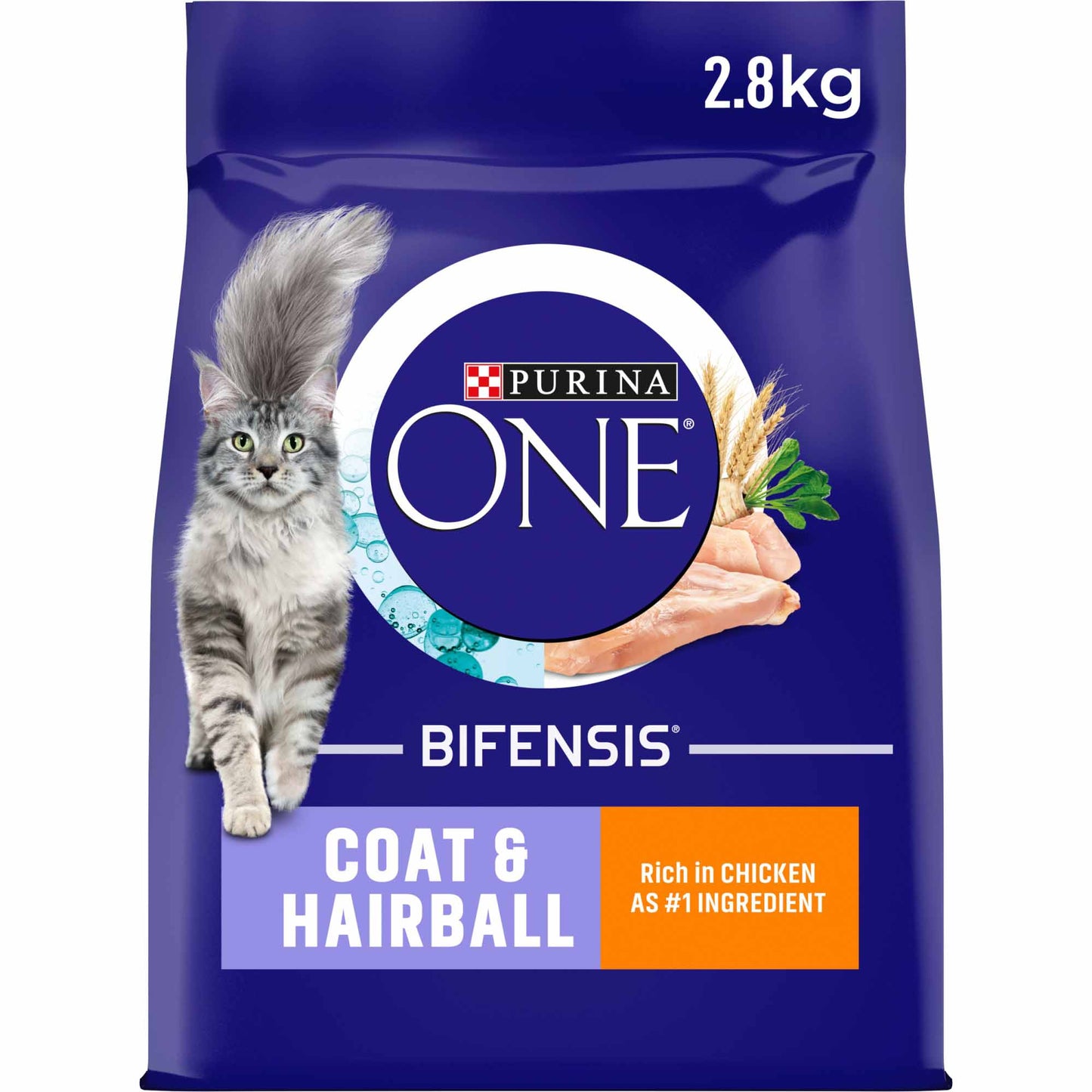 Purina ONE Coat & Hairball Adult Dry Cat Food