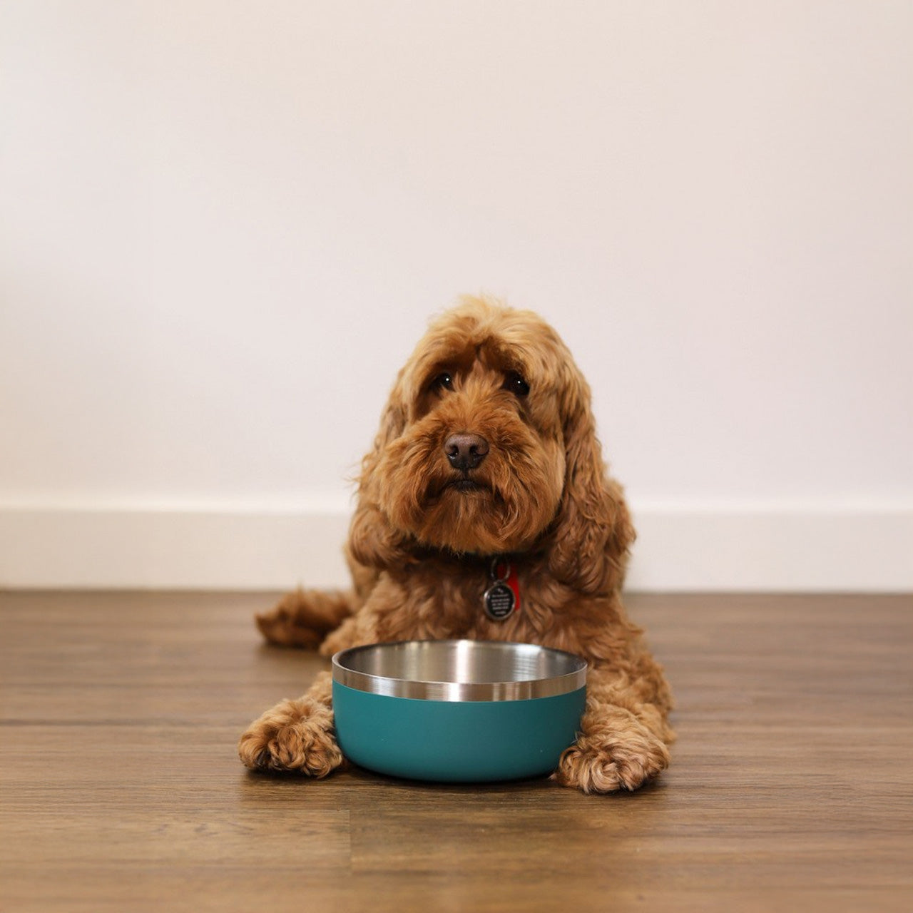 Rosewood Premium Pet Bowl - Teal - 1200ml