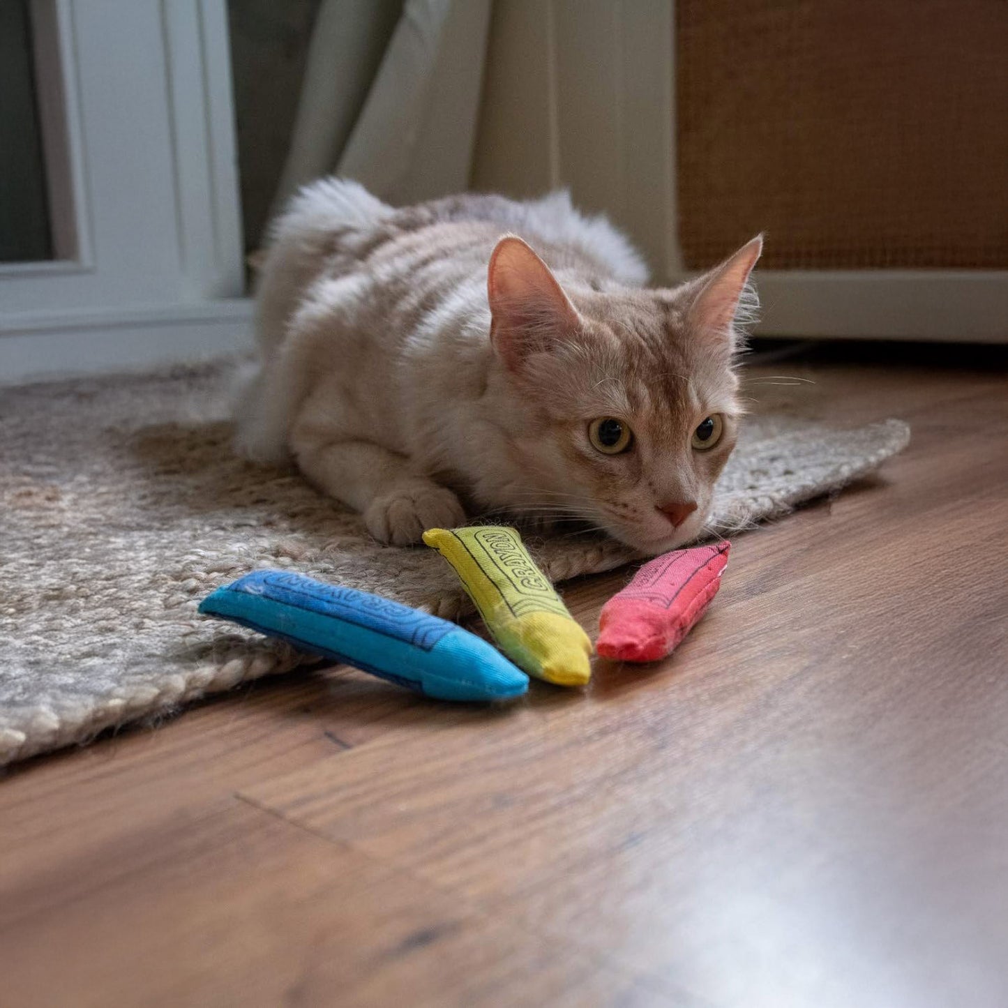 Yeowww!-Ola Crayon Cat Toy - 3 pack