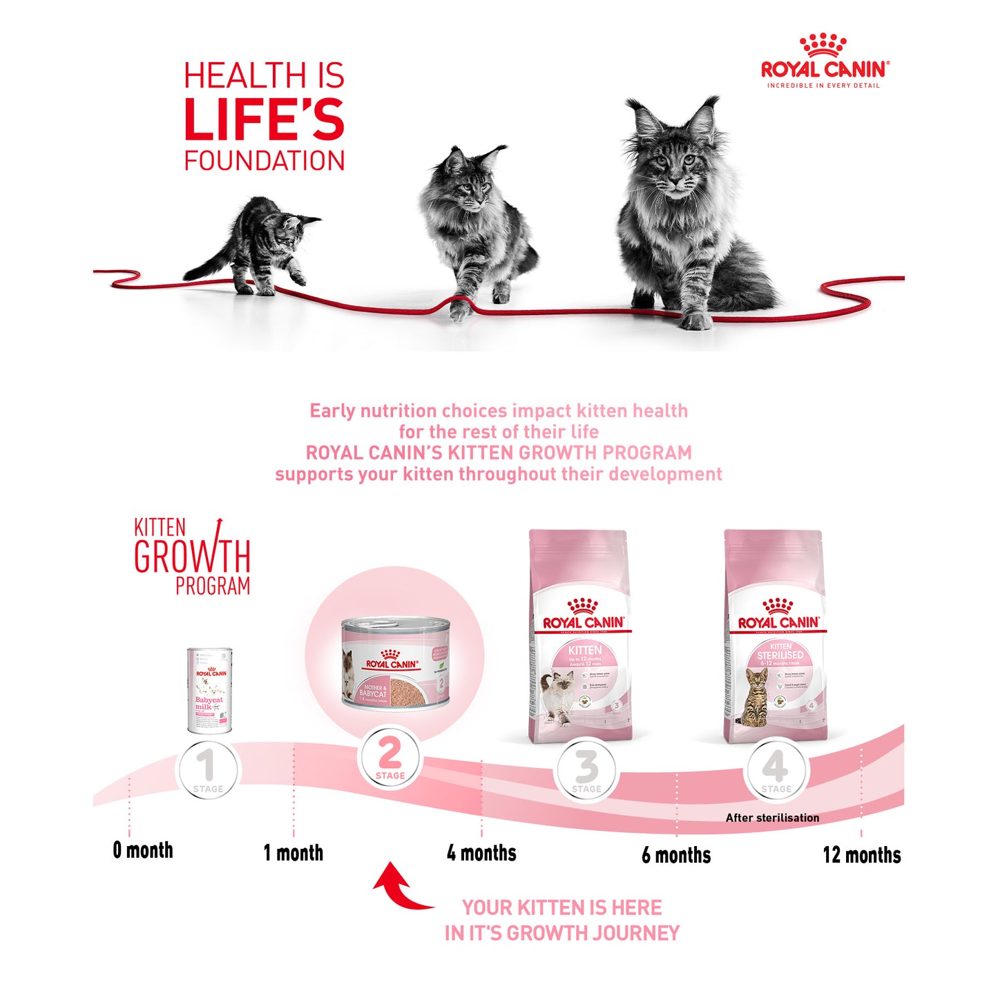 Royal Canin Feline Health Nutrition Mother & Babycat Ultra Soft Mousse Wet Cat Food - 12x195g Cans