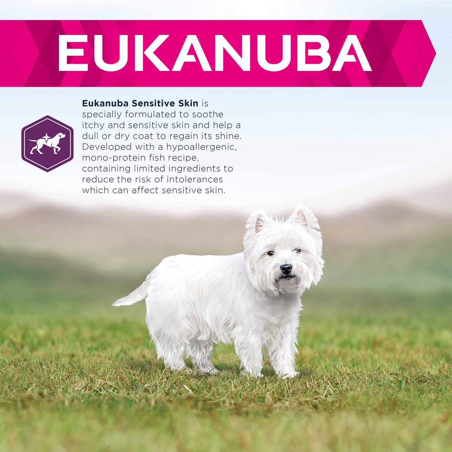 Eukanuba Daily Care Sensitive Skin Adult Dry Dog Food - Fish