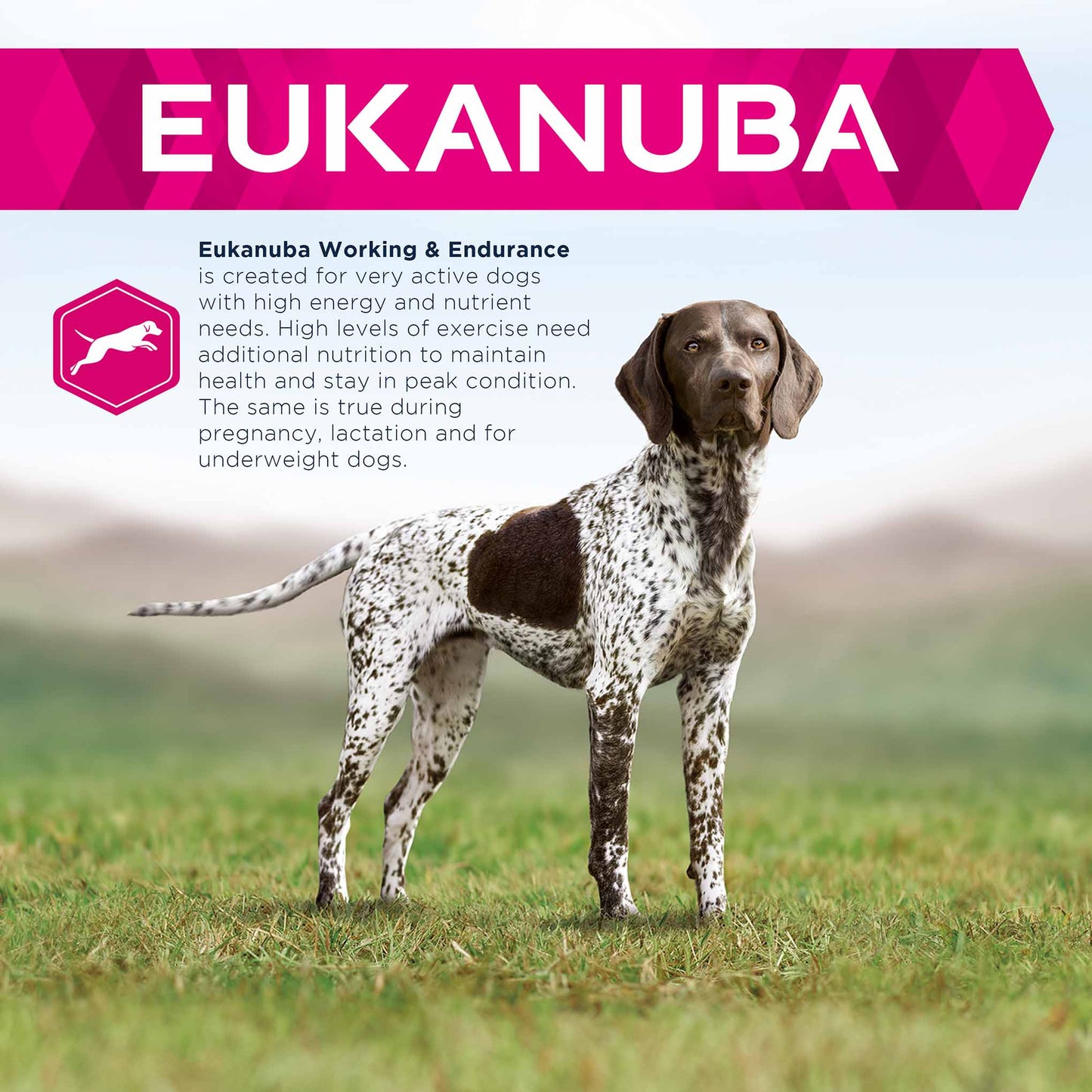 Eukanuba Working Dog Endurance Adult Dry Dog Food - Chicken