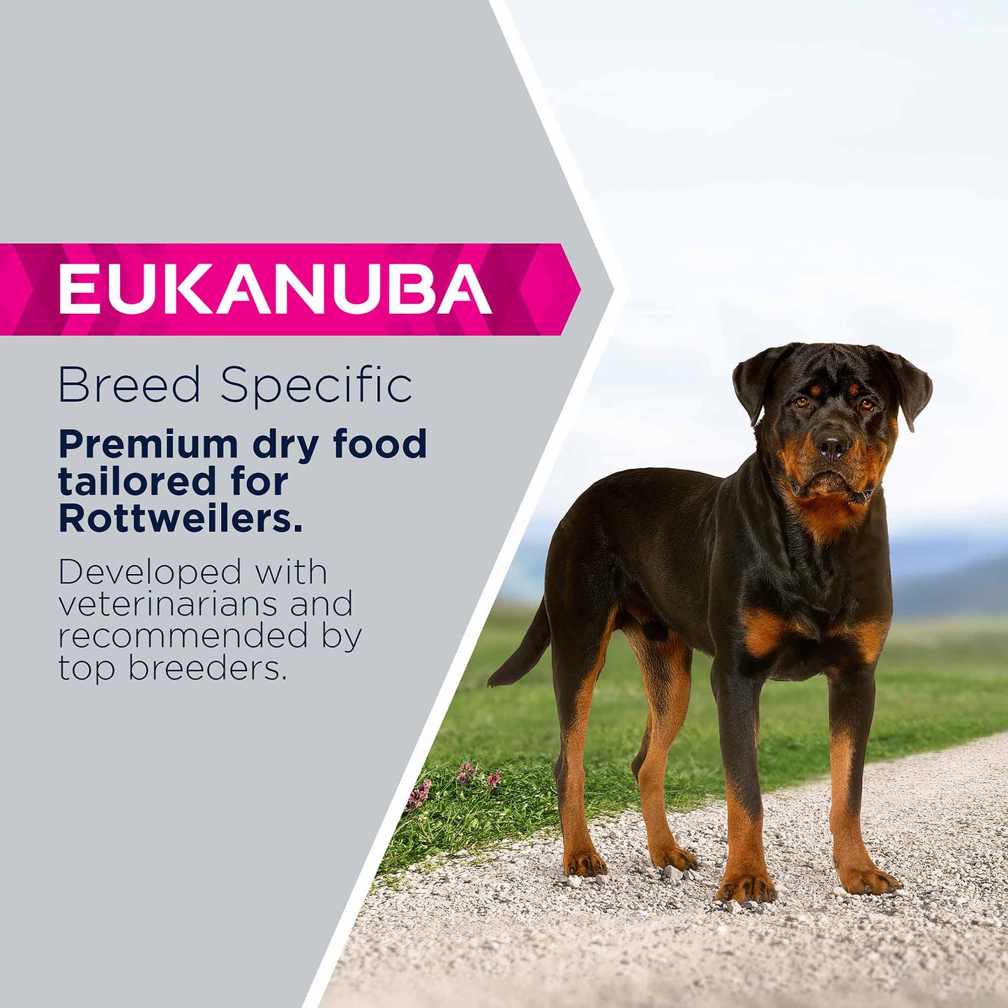 Eukanuba Dog Breed Specific Rottweiler Adult Dry Dog Food - Chicken