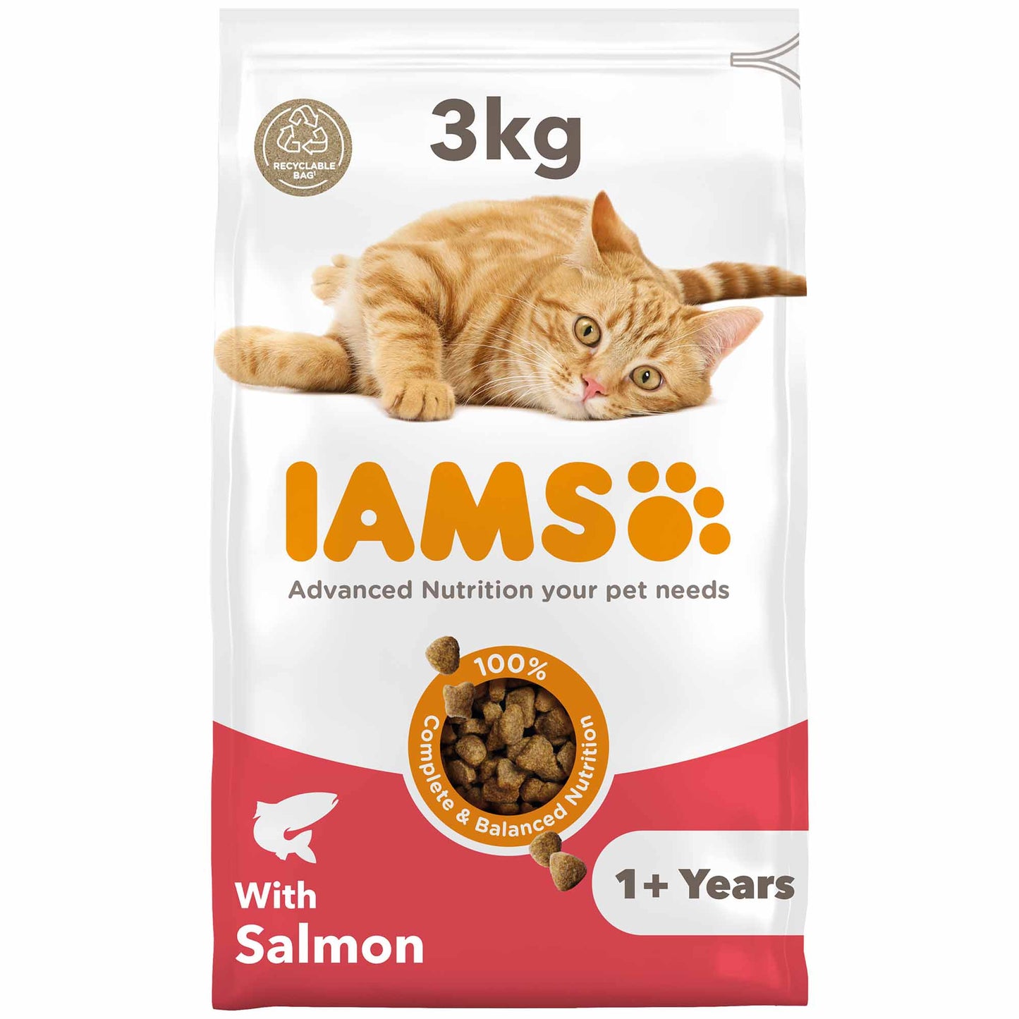 IAMS Adult Dry Cat Food - Salmon
