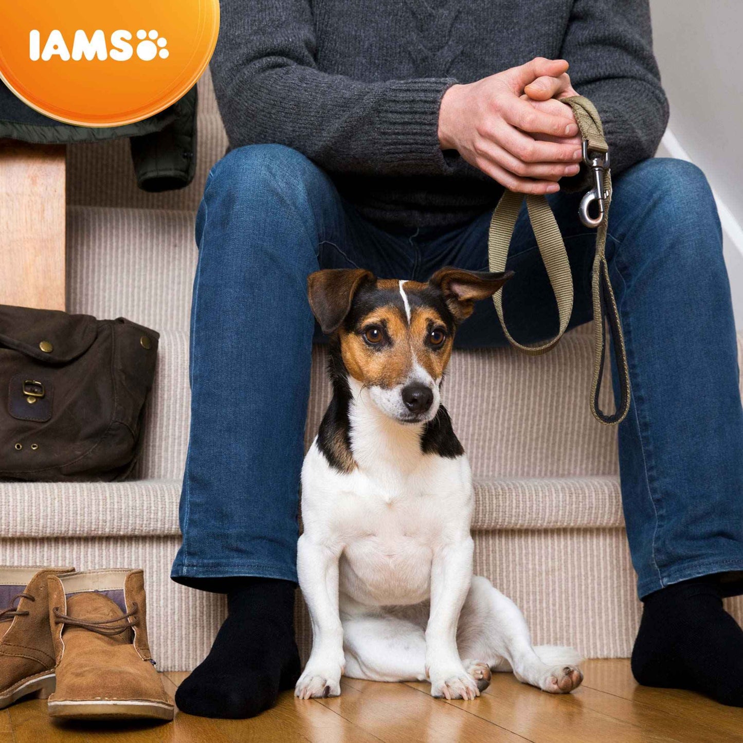 IAMS Small & Medium Breed Adult Dry Dog Food - Lamb
