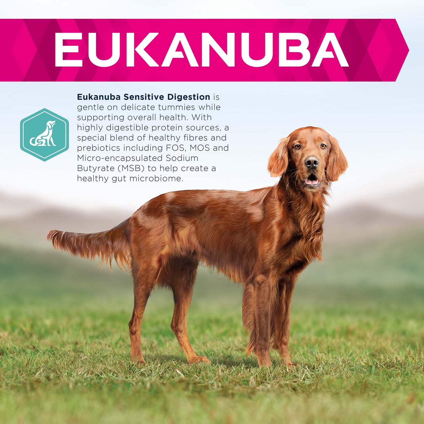 Eukanuba Daily Care Sensitive Digestion Adult Dry Dog Food - Chicken
