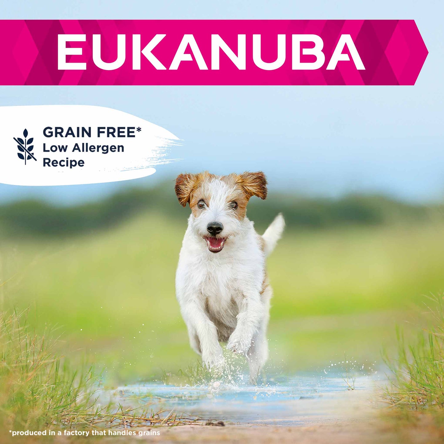 Eukanuba Grain Free Small/Medium Breed Adult Dry Dog Food - Ocean Fish