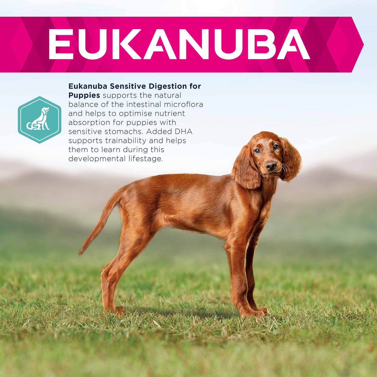 Eukanuba Daily Care Sensitive Digestion Puppy Dry Dog Food - Chicken