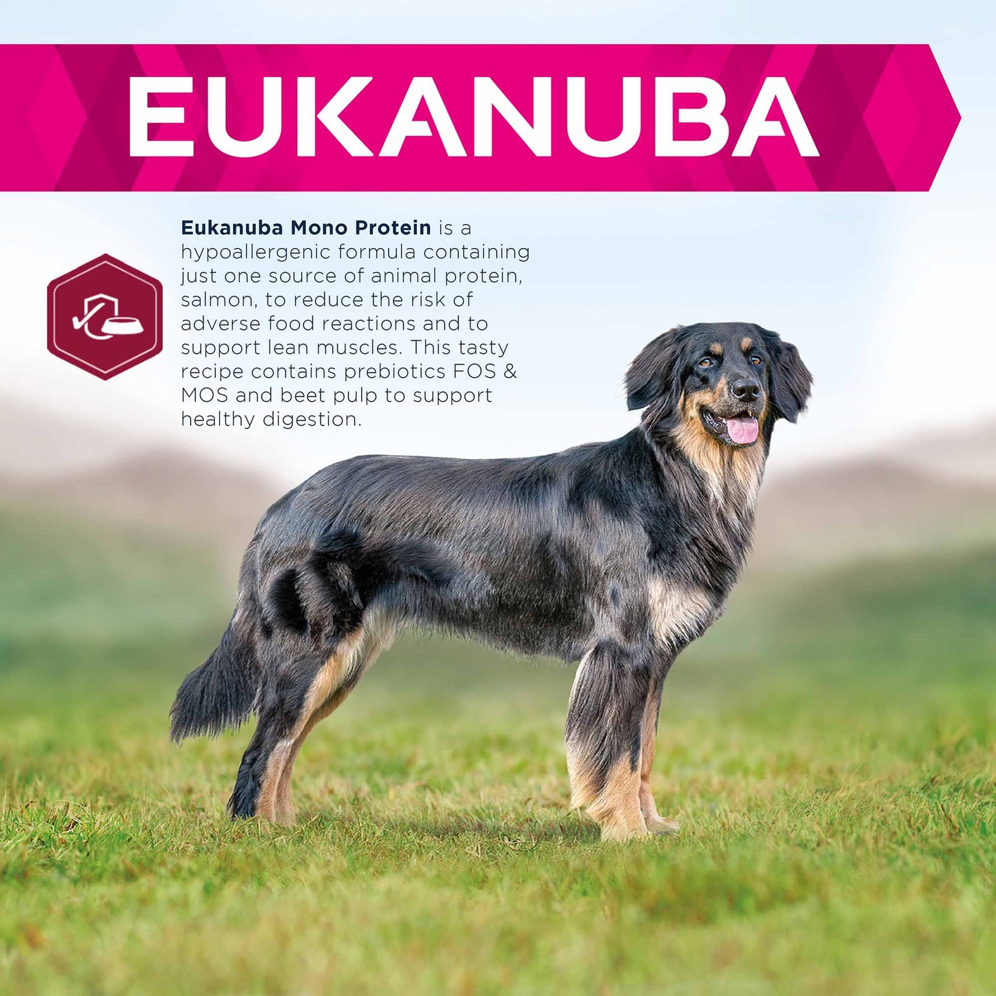 Eukanuba Daily Care Mono Protein Adult Dry Dog Food - Salmon