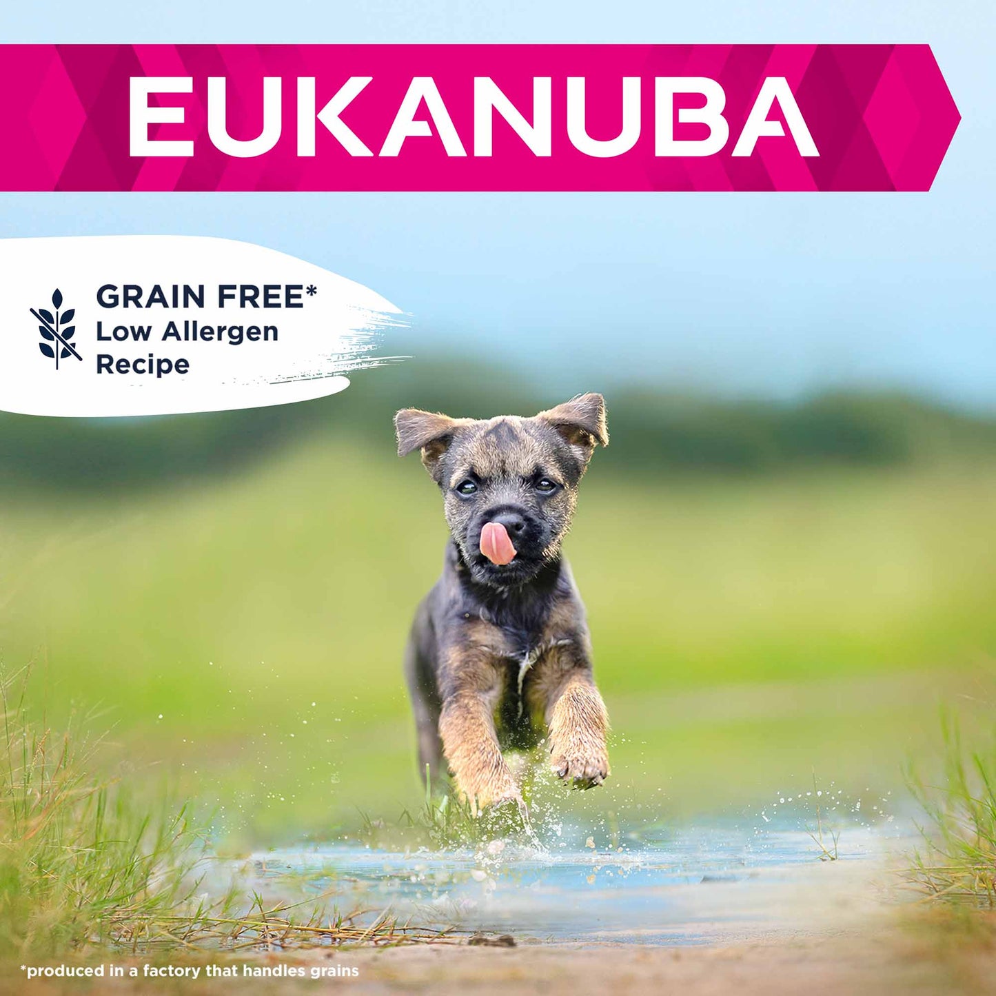 Eukanuba Grain Free Small/Medium Breed Puppy Dry Dog Food - Chicken