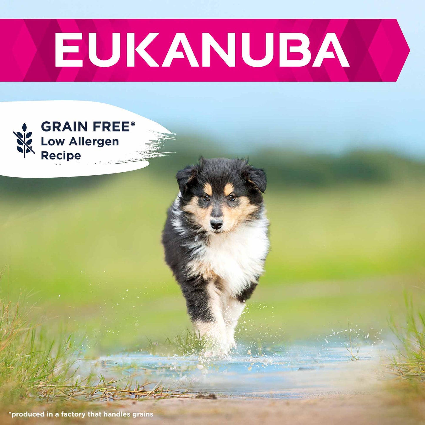 Eukanuba Grain Free Large Breed Puppy Dry Dog Food - Chicken
