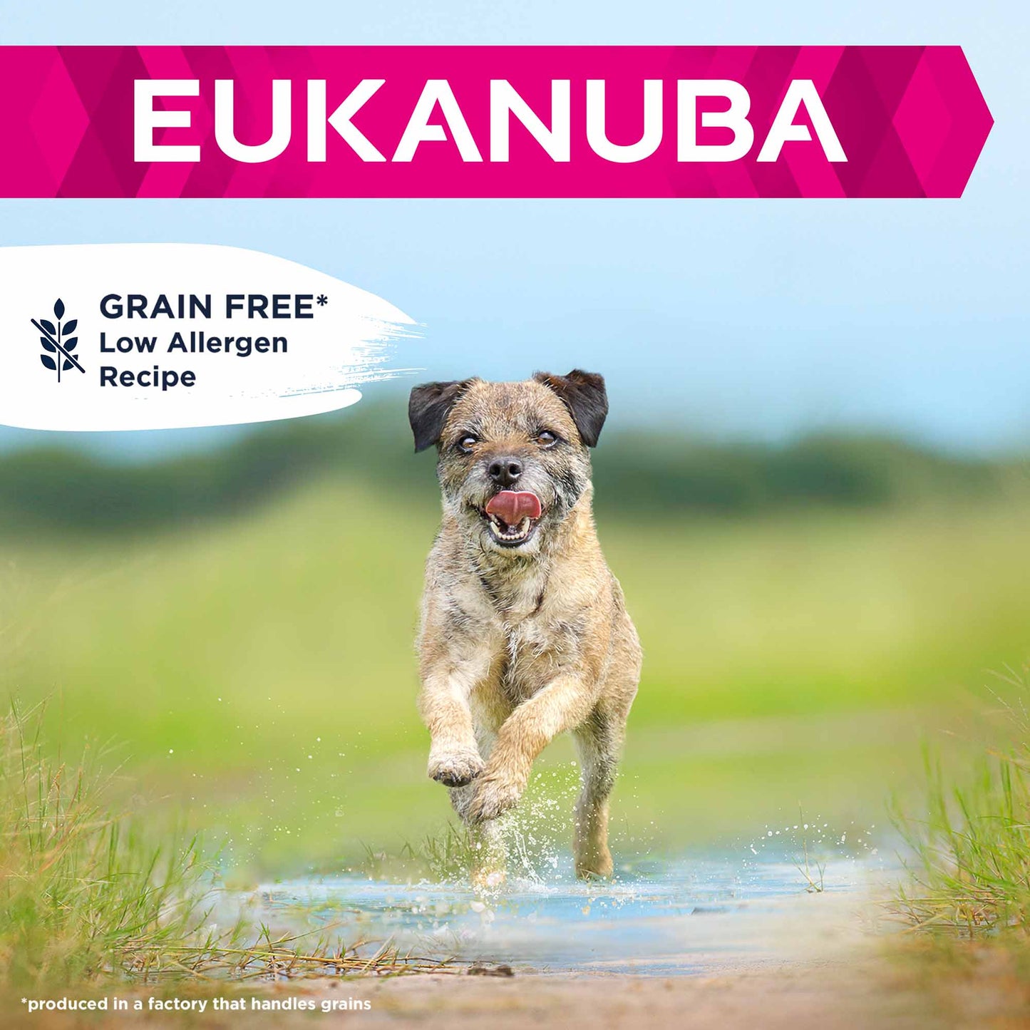 Eukanuba Grain Free Small/Medium Breed Adult Dry Dog Food - Chicken