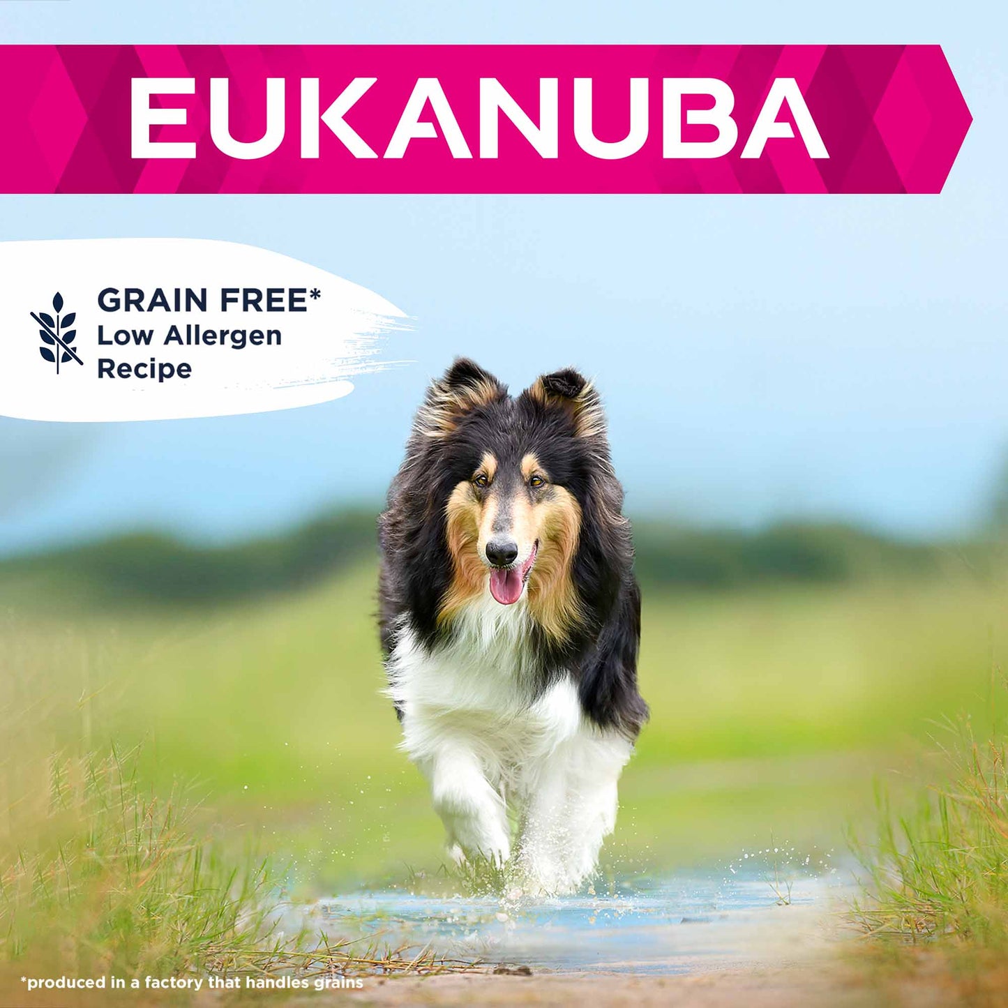 Eukanuba Grain Free Large Breed Adult Dry Dog Food - Chicken