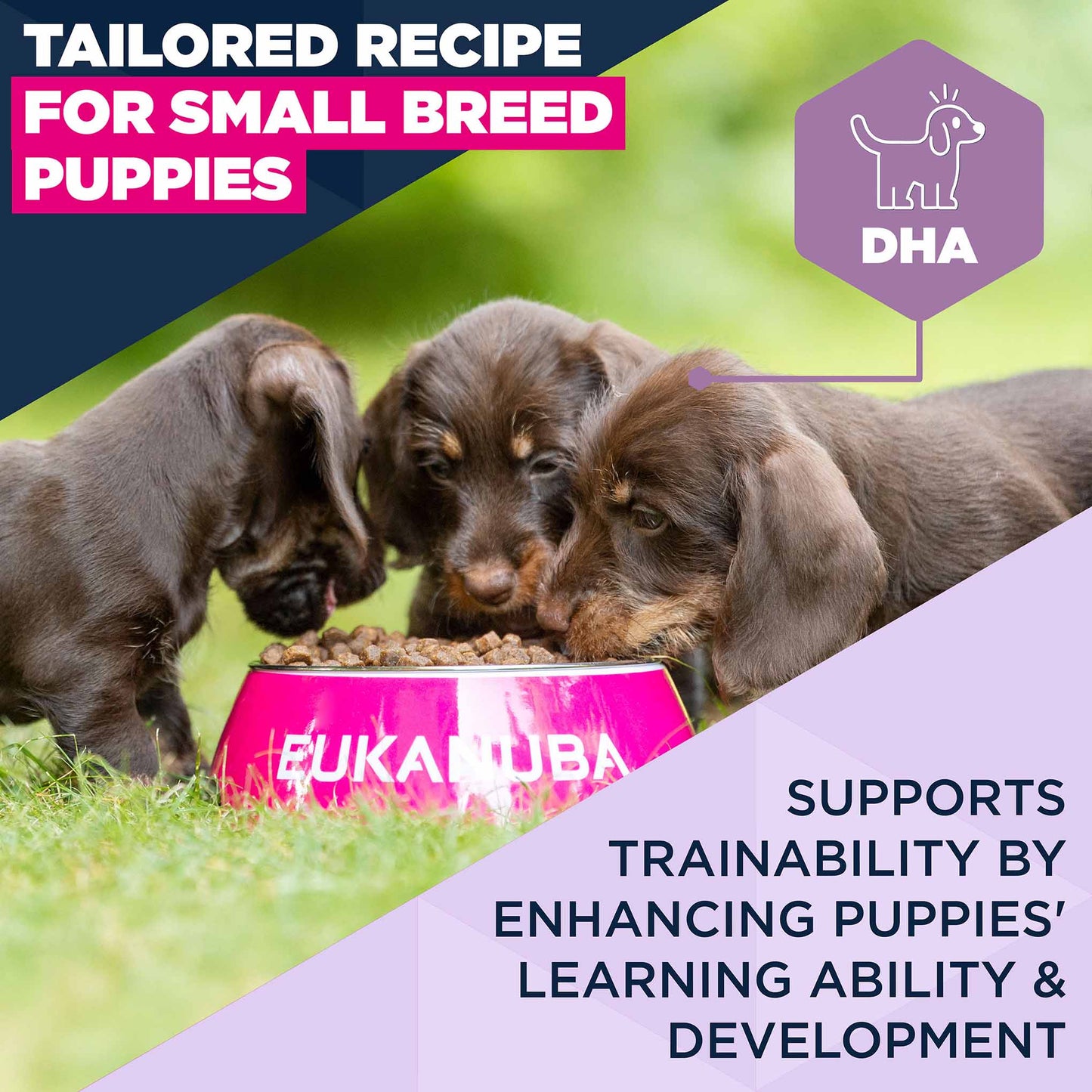 Eukanuba Life Care Puppy Small Breed Dry Dog Food - Chicken - 7.5kg