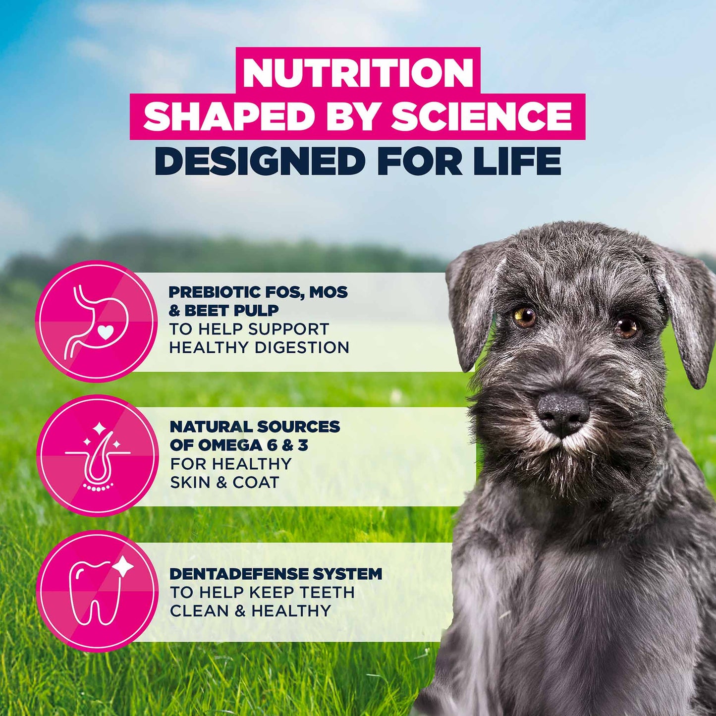 Eukanuba Life Care Puppy Small Breed Dry Dog Food - Chicken - 7.5kg