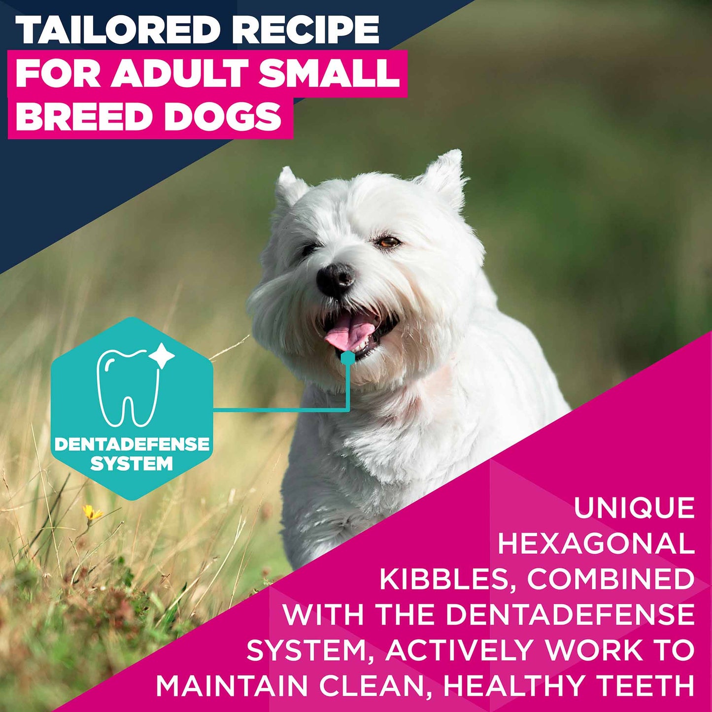 Eukanuba Small Breed Adult Dry Dog Food - Chicken