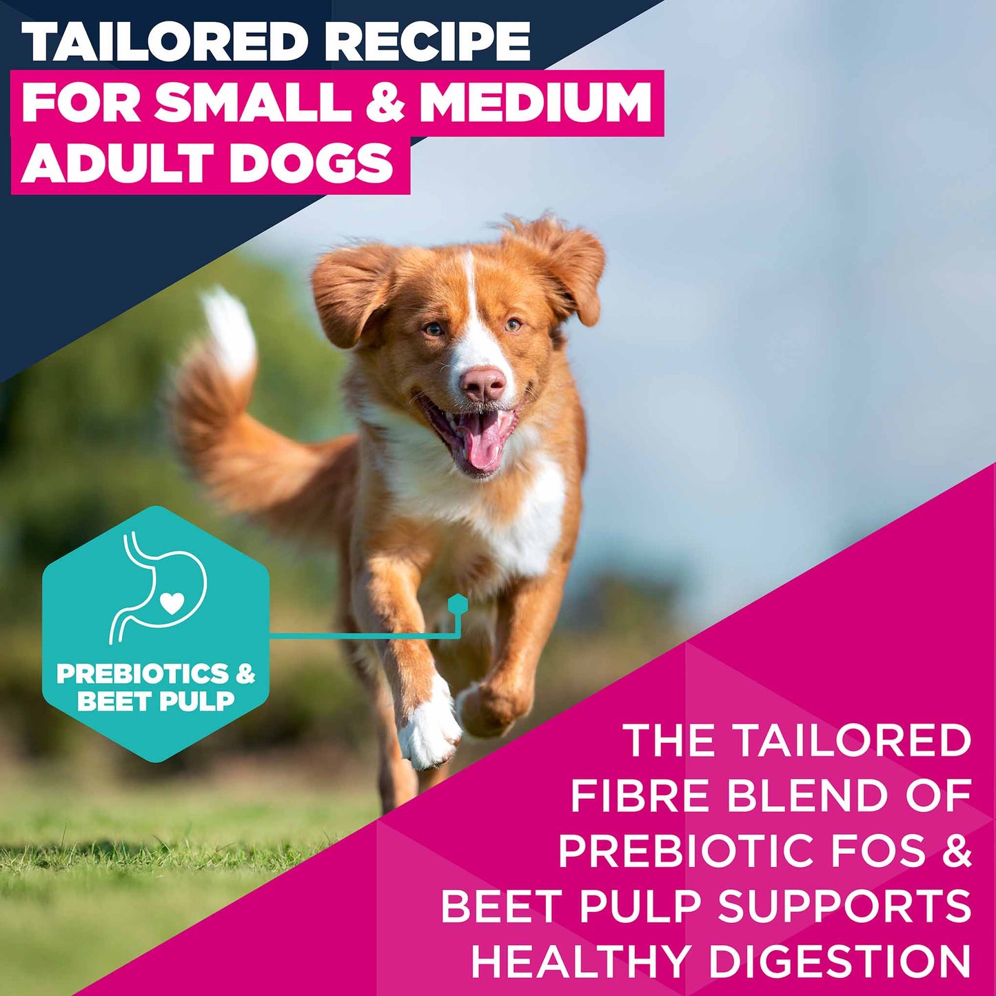 Eukanuba Small/Medium Breed Adult Dry Dog Food - Salmon & Barley