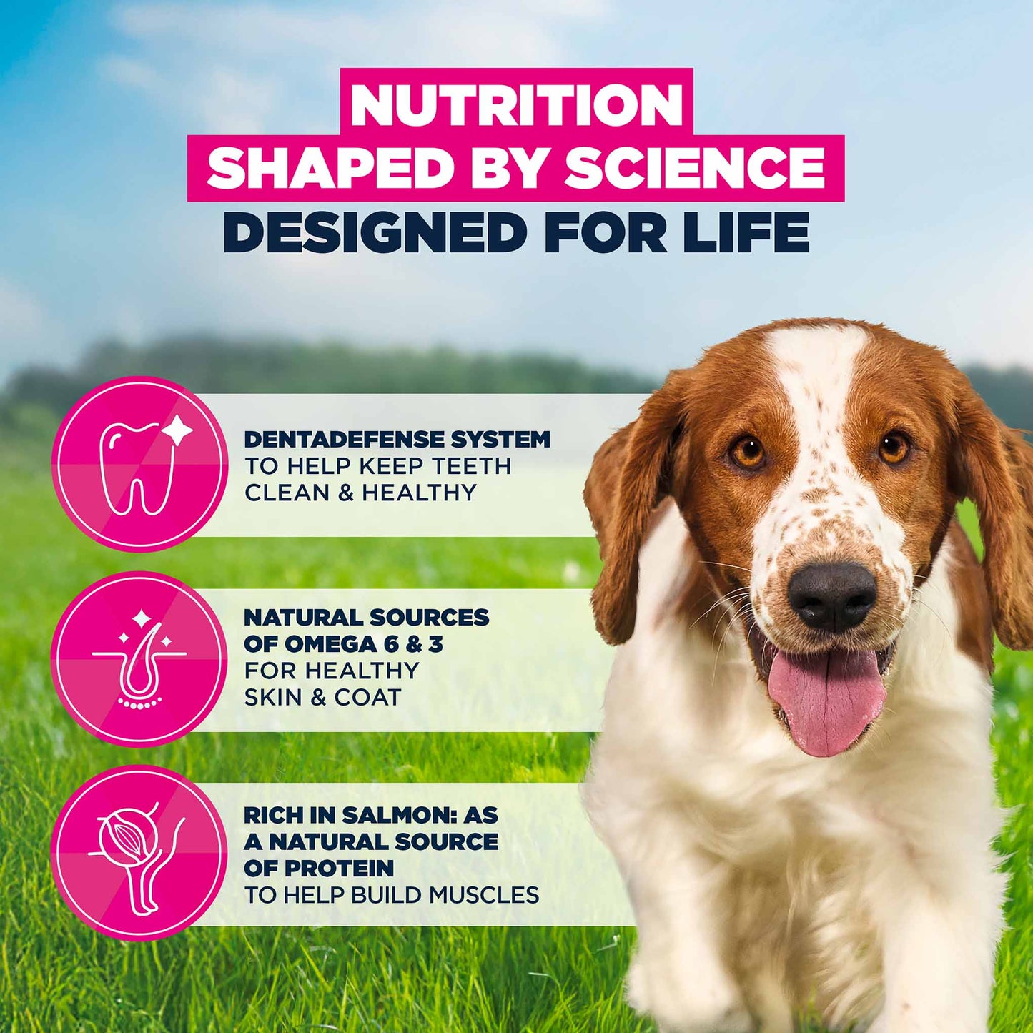 Eukanuba Small/Medium Breed Adult Dry Dog Food - Salmon & Barley