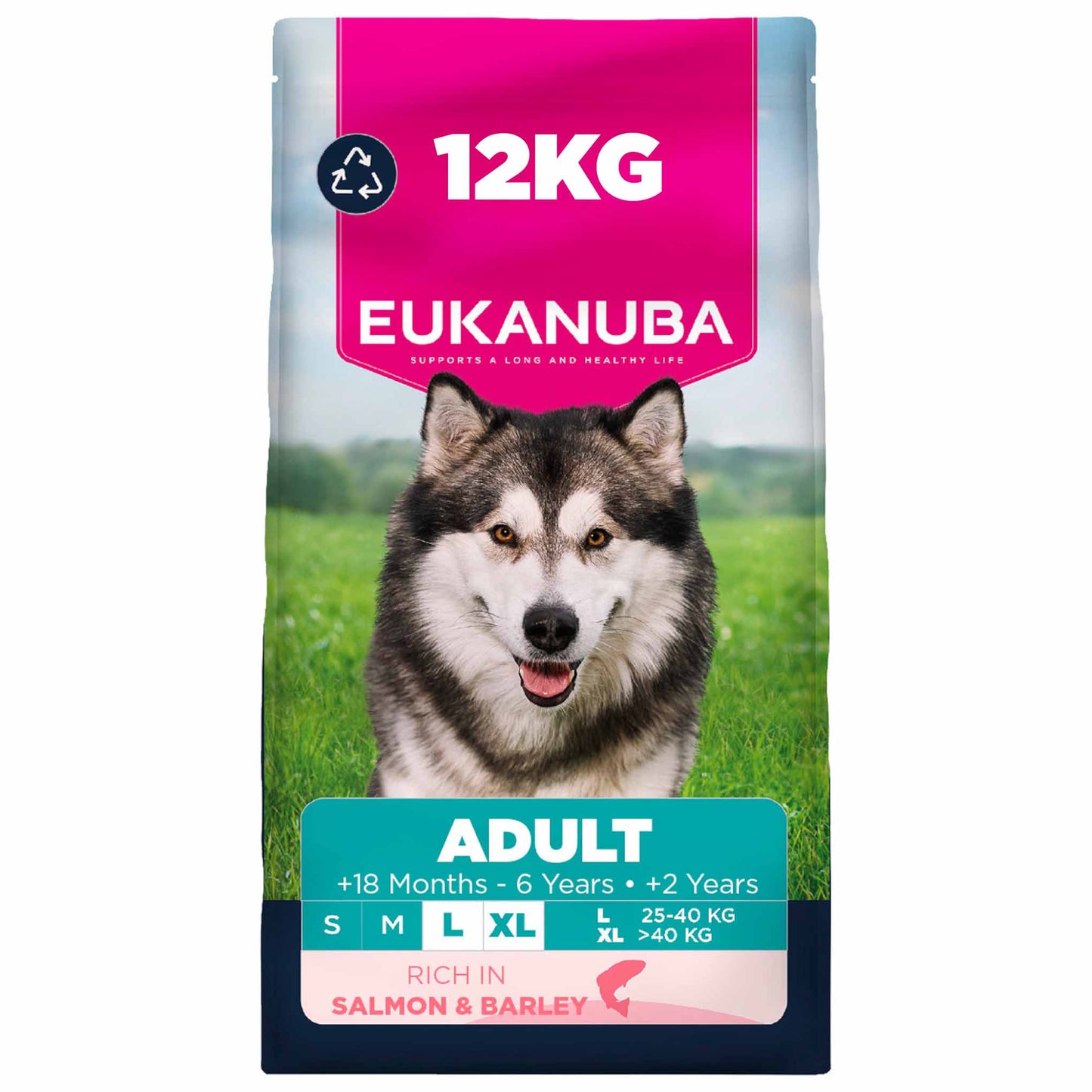 Eukanuba Large Breed Adult Dry Dog Food - Salmon & Barley