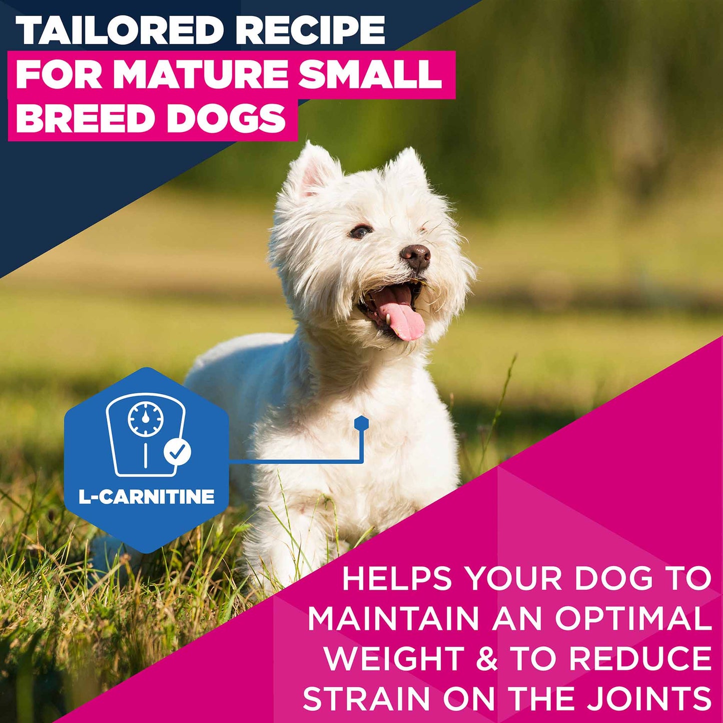 Eukanuba Life Care Mature Small Breed Dry Dog Food - Chicken - 7.5kg