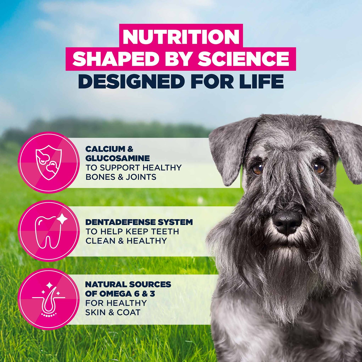 Eukanuba Life Care Mature Small Breed Dry Dog Food - Chicken - 7.5kg