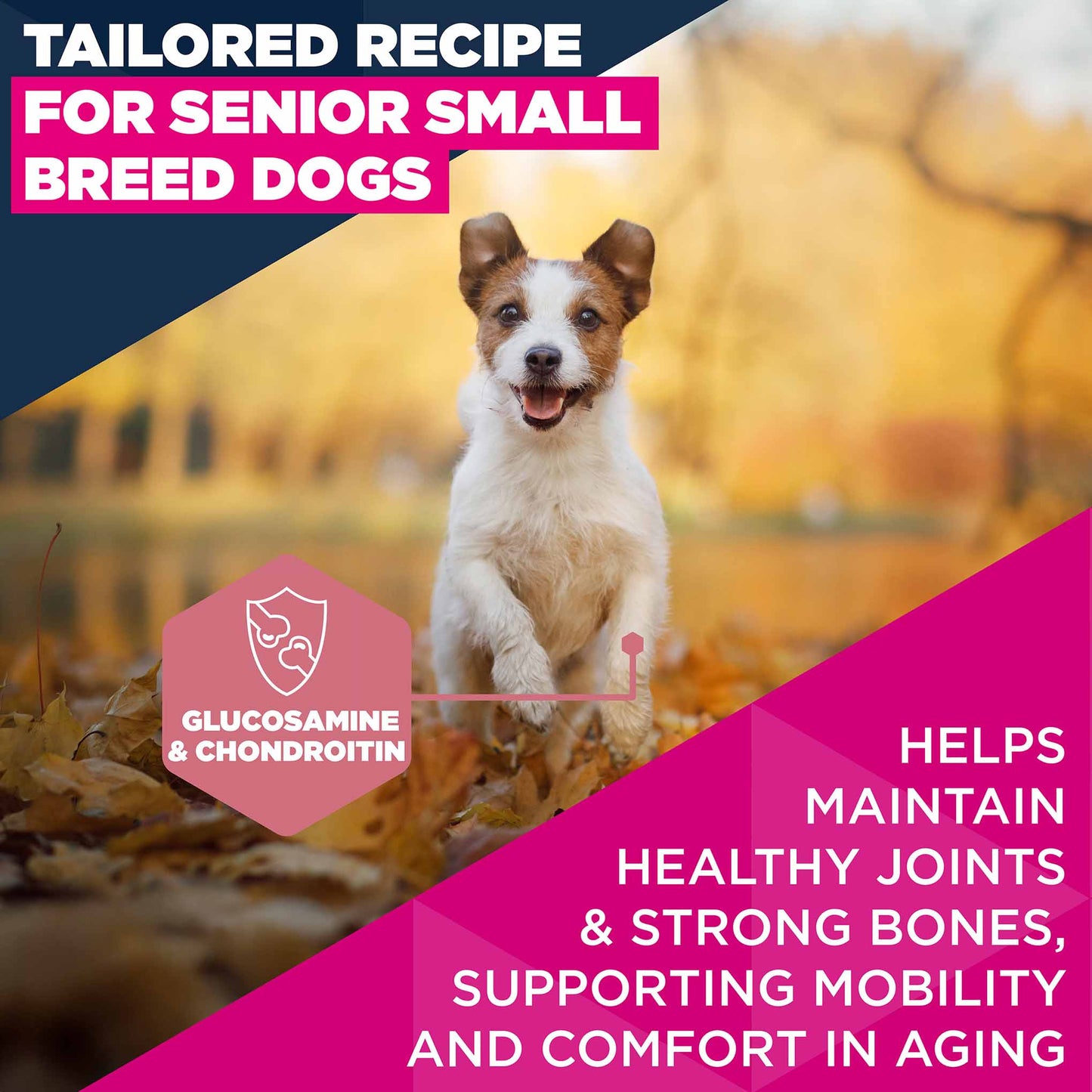 Eukanuba Small Breed Senior Dry Dog Food - Chicken