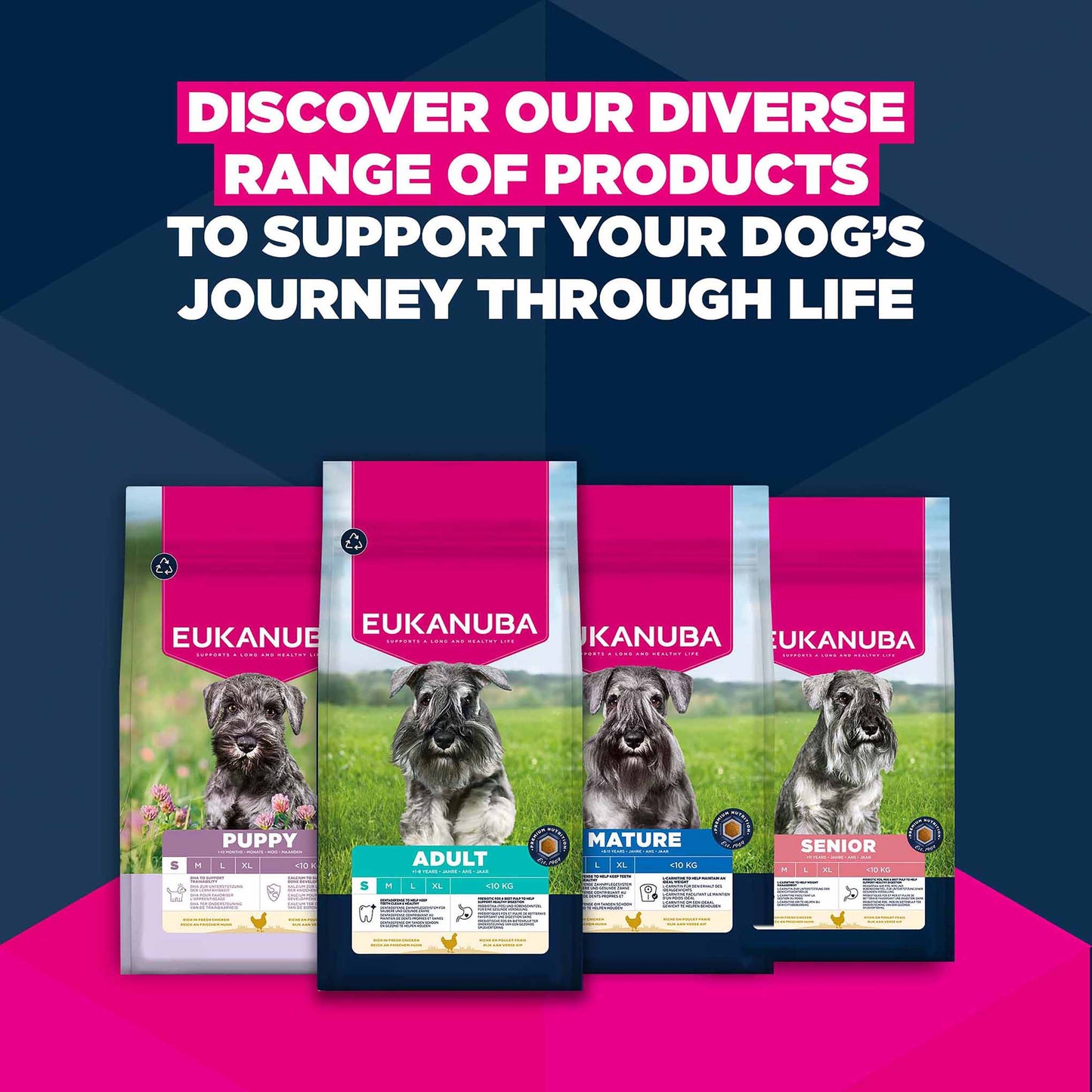 Eukanuba Small Breed Senior Dry Dog Food - Chicken