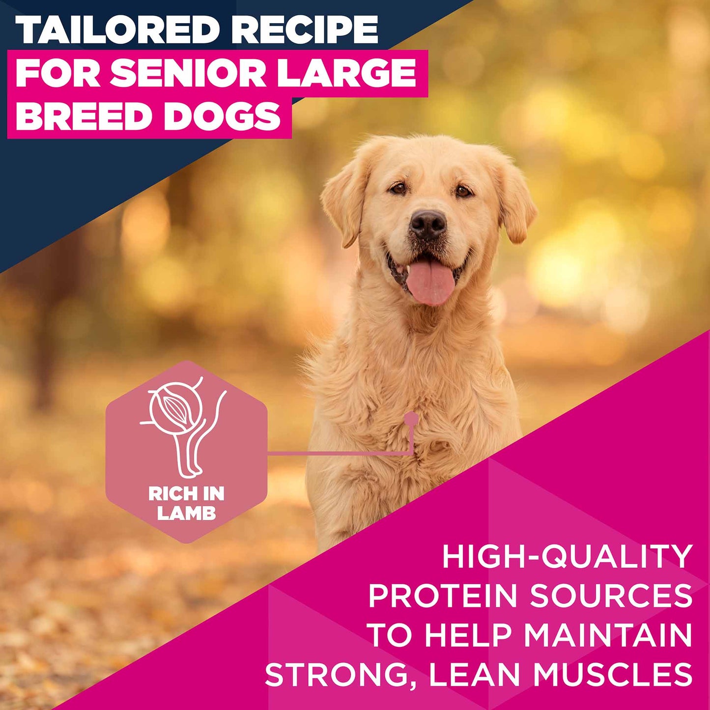 Eukanuba Large Breed Senior Dry Dog Food - Lamb & Rice