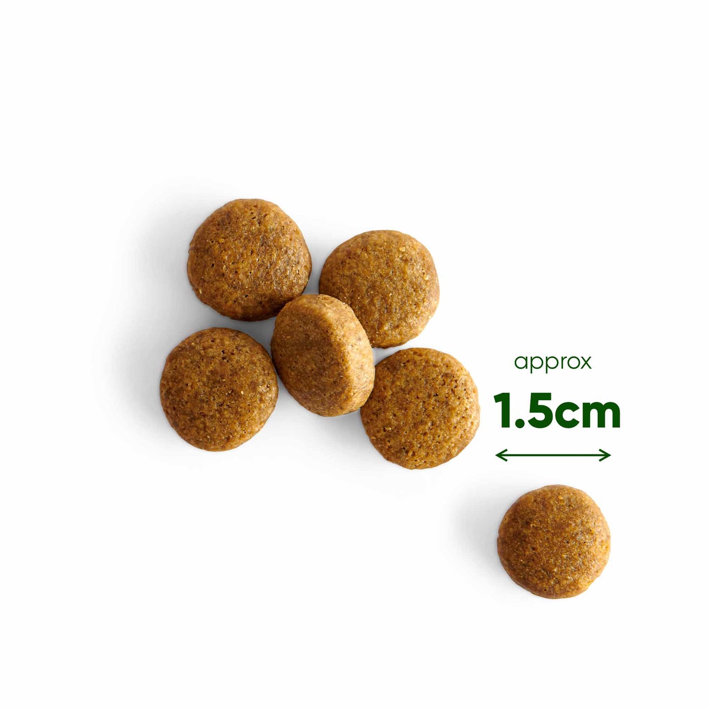 Beco Wild Boar Adult Dry Dog Food