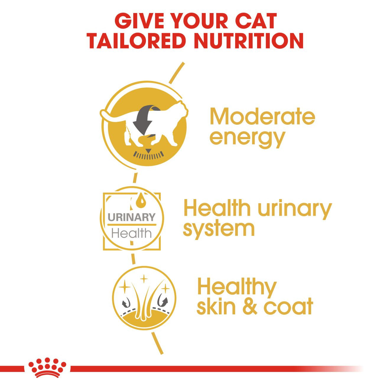 ROYAL CANIN Feline Breed Nutrition British Shorthair Adult Wet Cat Food In Gravy - 12 x 85g Pouch