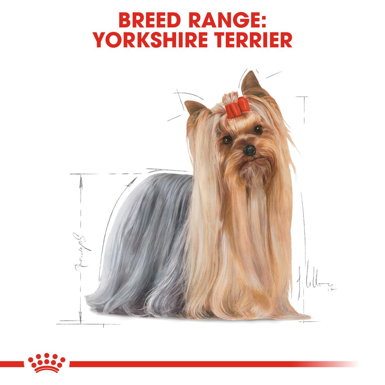 Royal Canin Breed Health Nutrition Yorkshire Terrier Adult Wet Dog Food -12x85g Pouches
