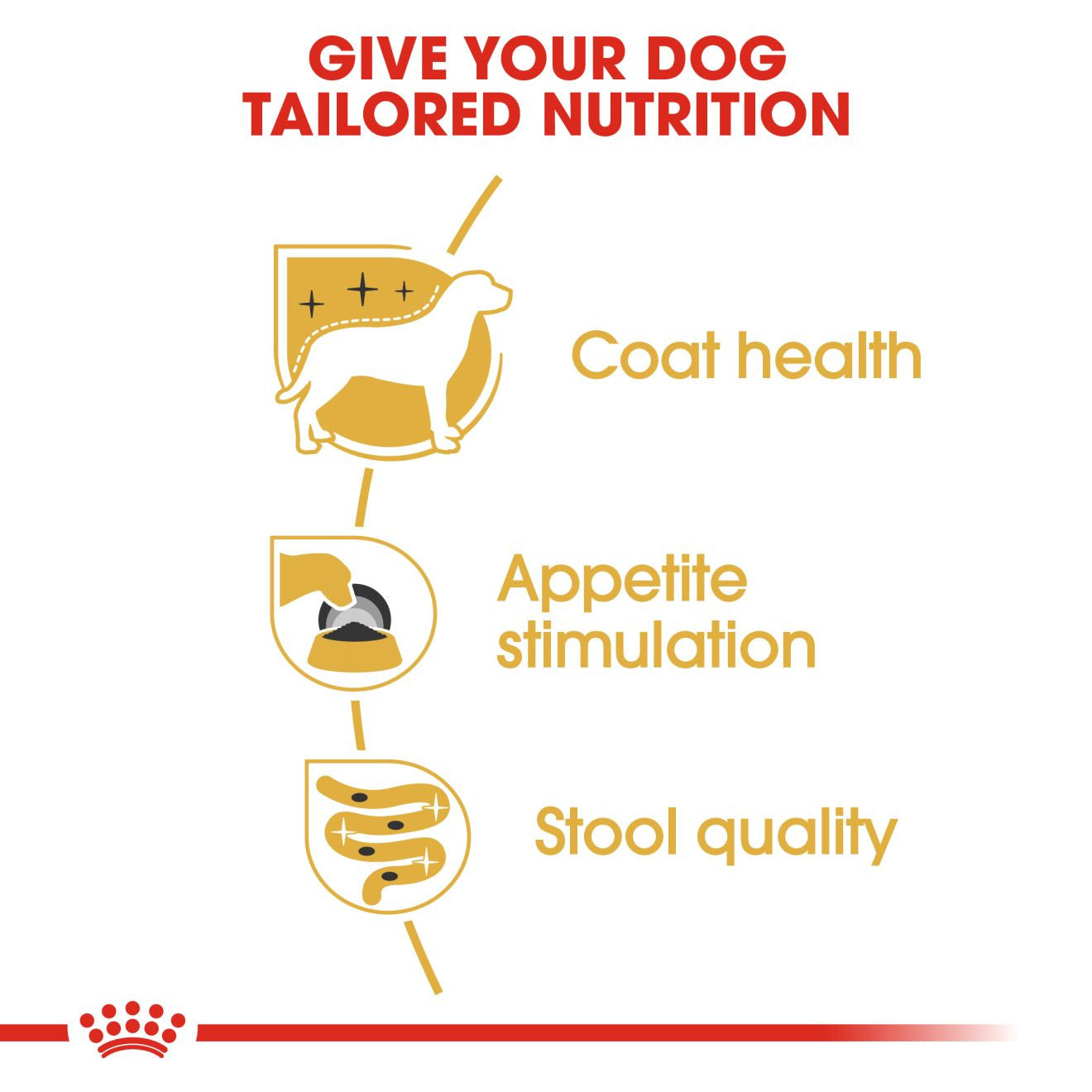Royal Canin Breed Health Nutrition Yorkshire Terrier Adult Wet Dog Food -12x85g Pouches