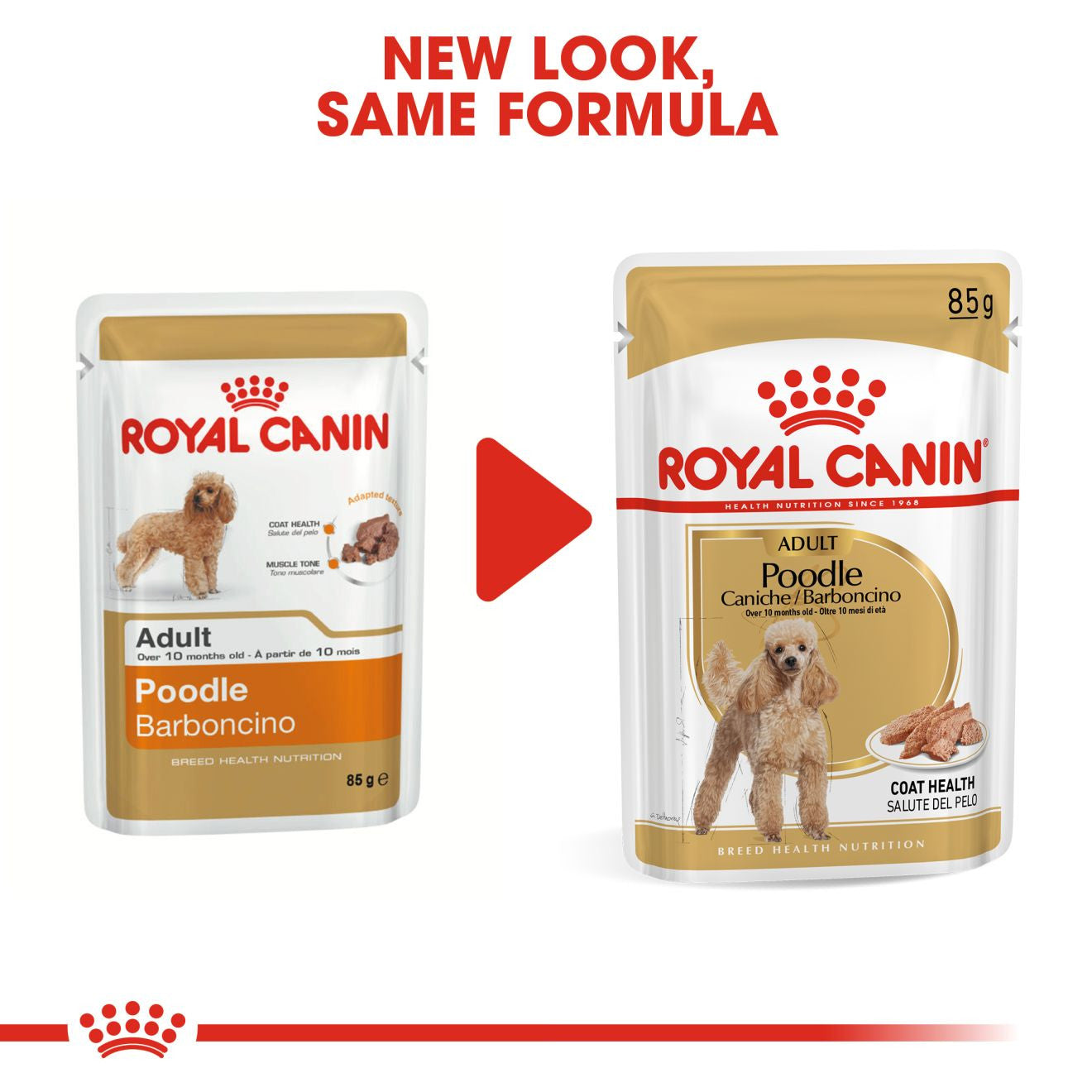 Royal Canin Breed Health Nutrition Poodle Adult Wet Dog Food - 12x85g Pouches