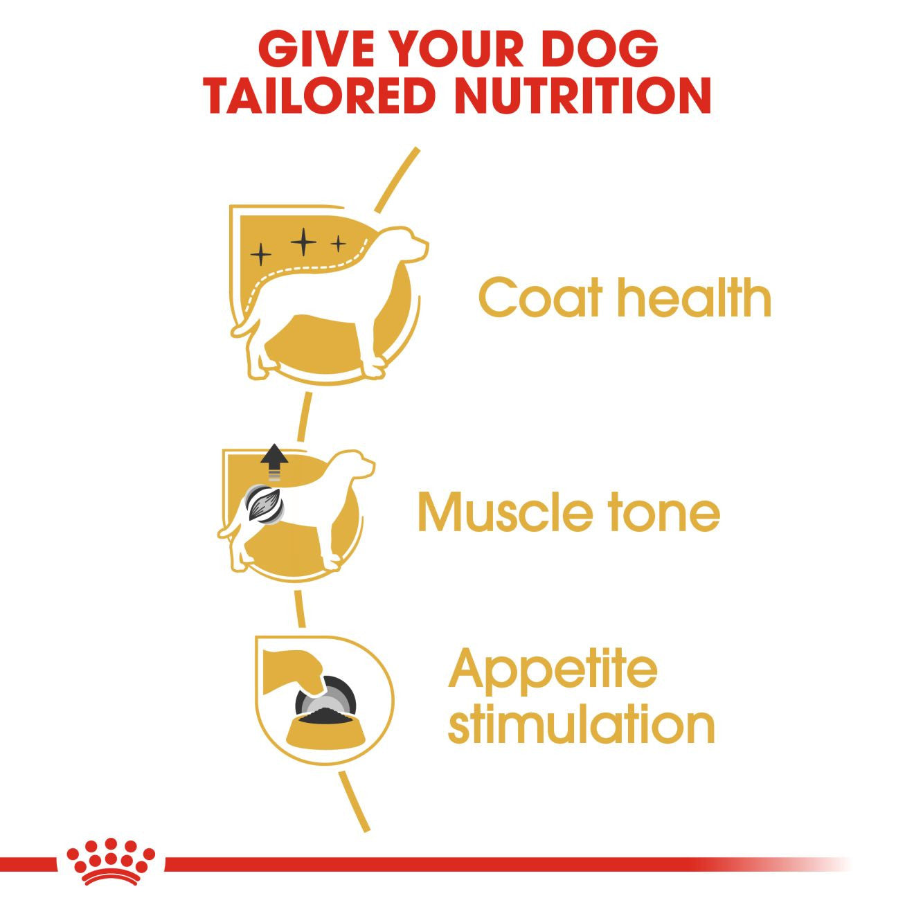 Royal Canin Breed Health Nutrition Poodle Adult Wet Dog Food - 12x85g Pouches