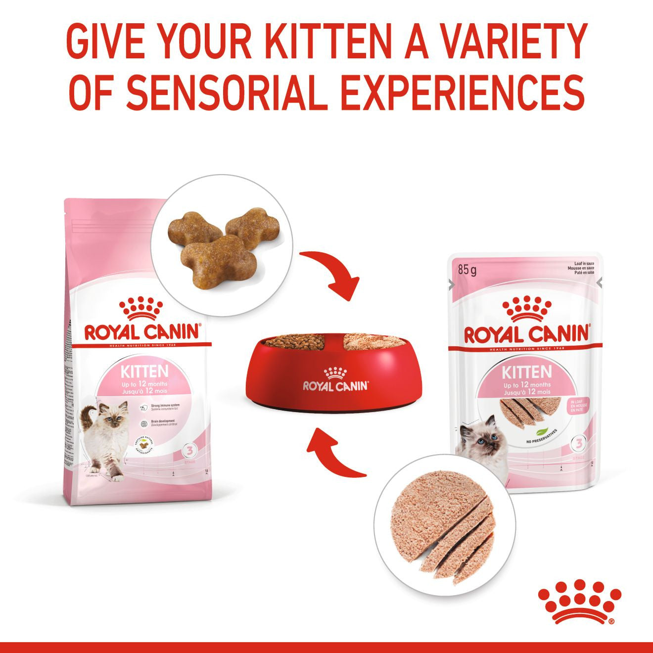 Royal Canin Feline Health Nutrition Kitten Wet Cat Food in Loaf - 12x85g Pouches
