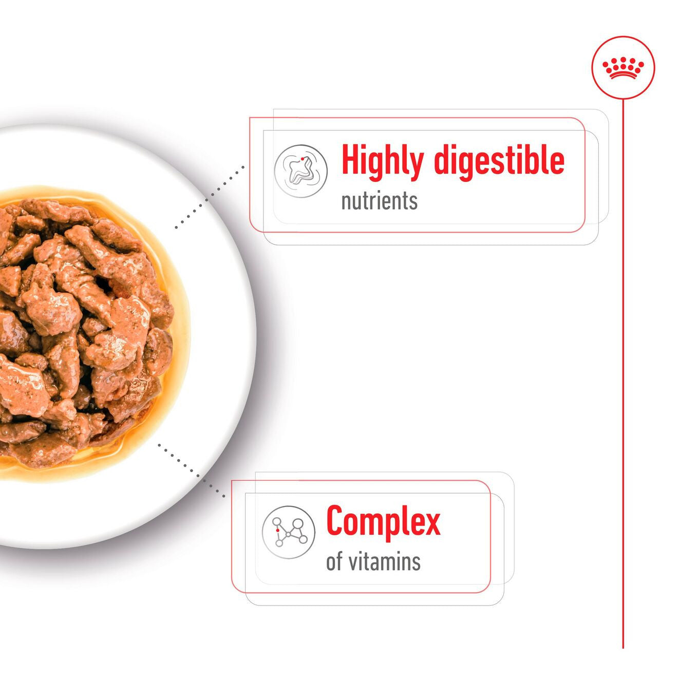Royal Canin Size Health Nutrition Mini Adult Wet Dog Food in Gravy - 12x85g Pouches