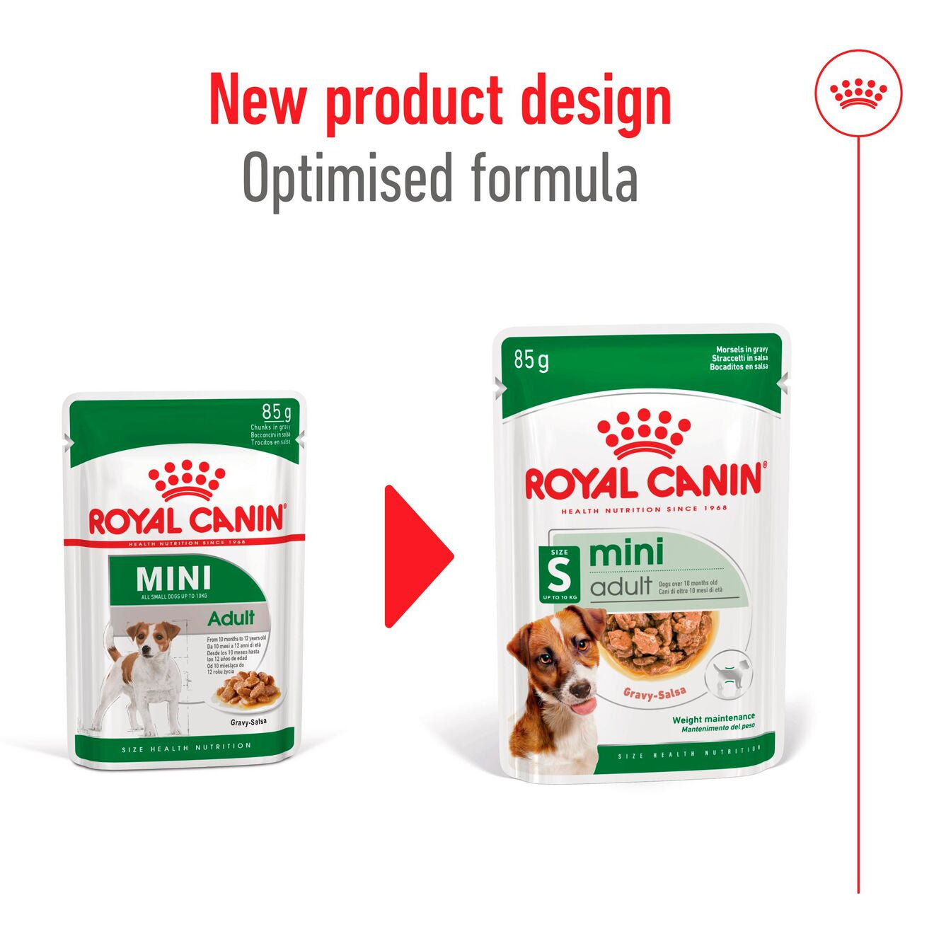 Royal Canin Size Health Nutrition Mini Adult Wet Dog Food in Gravy - 12x85g Pouches