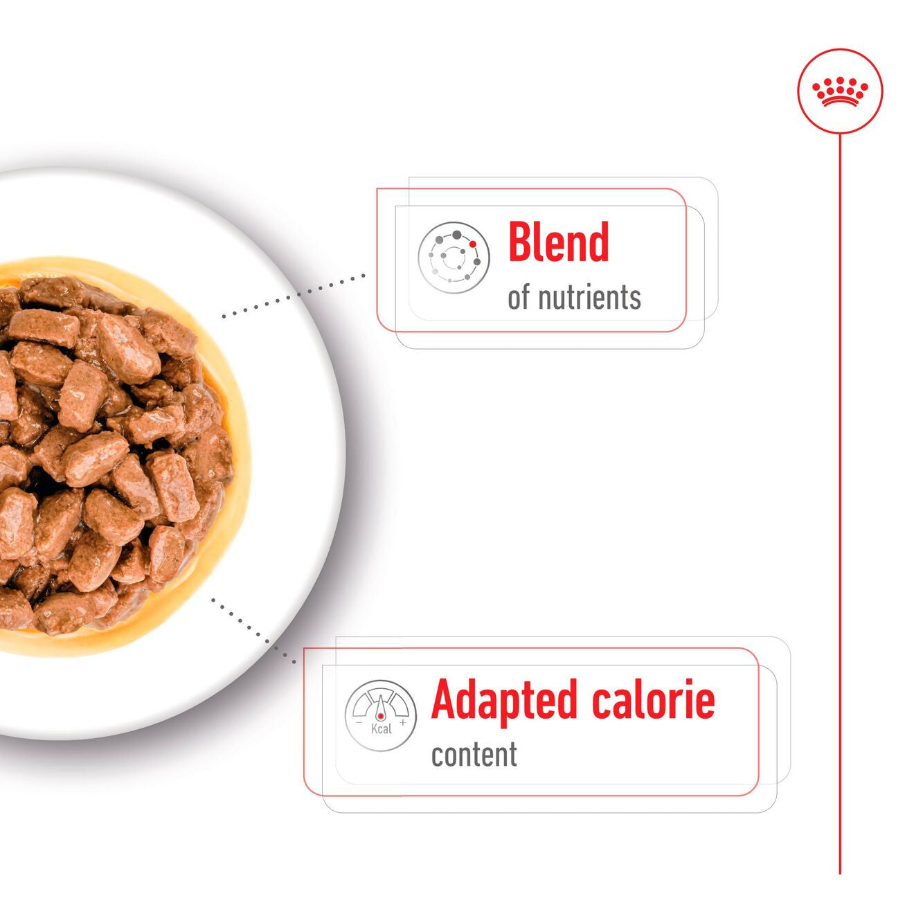 Royal Canin Size Health Nutrition Mini Ageing 8+ Wet Dog Food in Gravy - 12x85g Pouches
