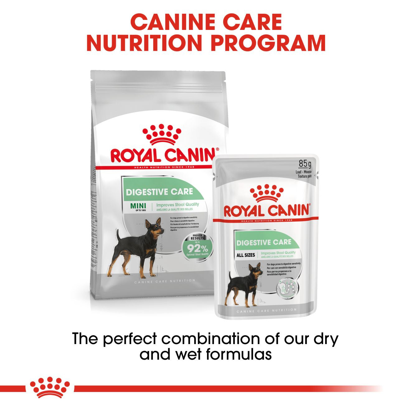 Royal Canin Digestive Canine Care Adult Wet Dog Food in Loaf - 12x85g Pouches
