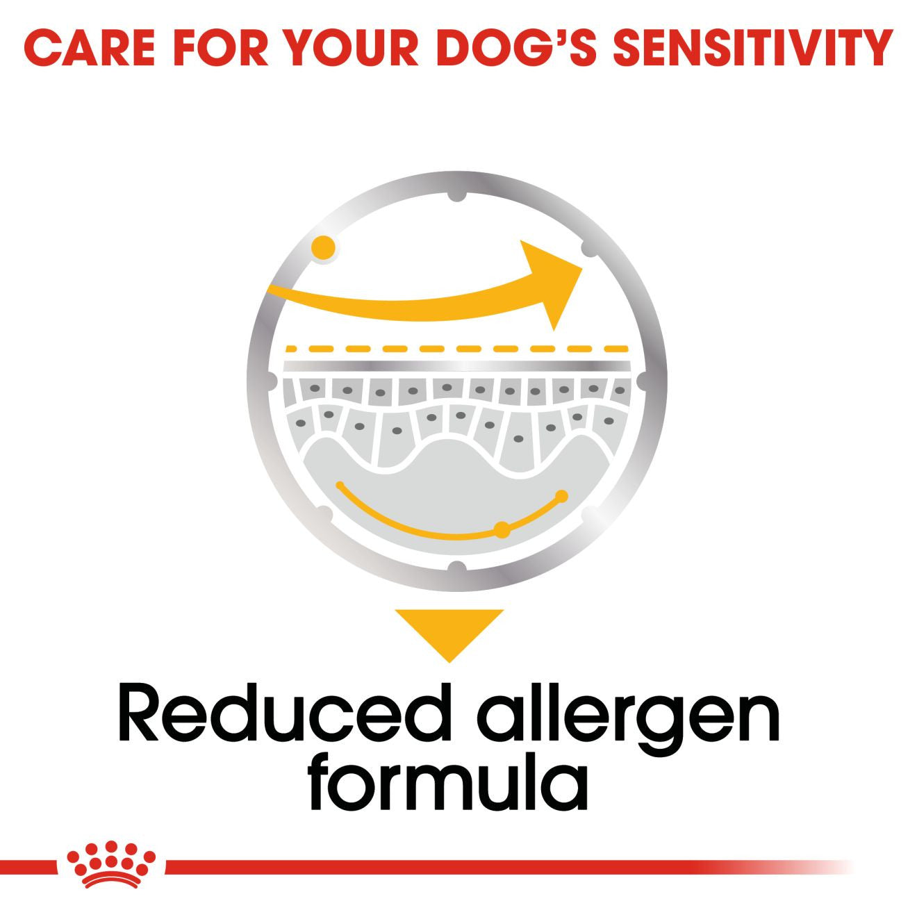 Royal Canin Dermacomfort Canine Care Adult Wet Dog Food in Loaf - 12x85g Pouches