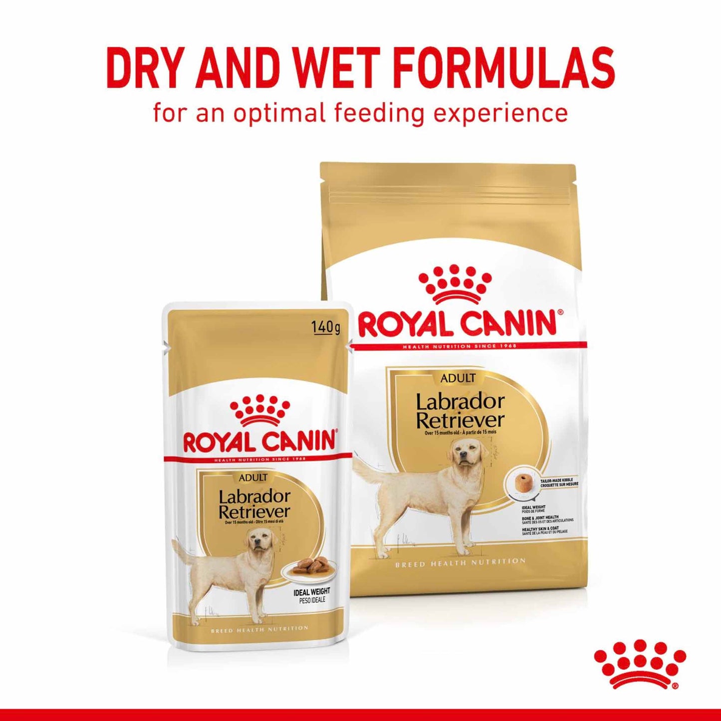 Royal Canin Breed Health Nutrition Labrador Retriever Adult Wet Dog Food - 10x140g Pouches