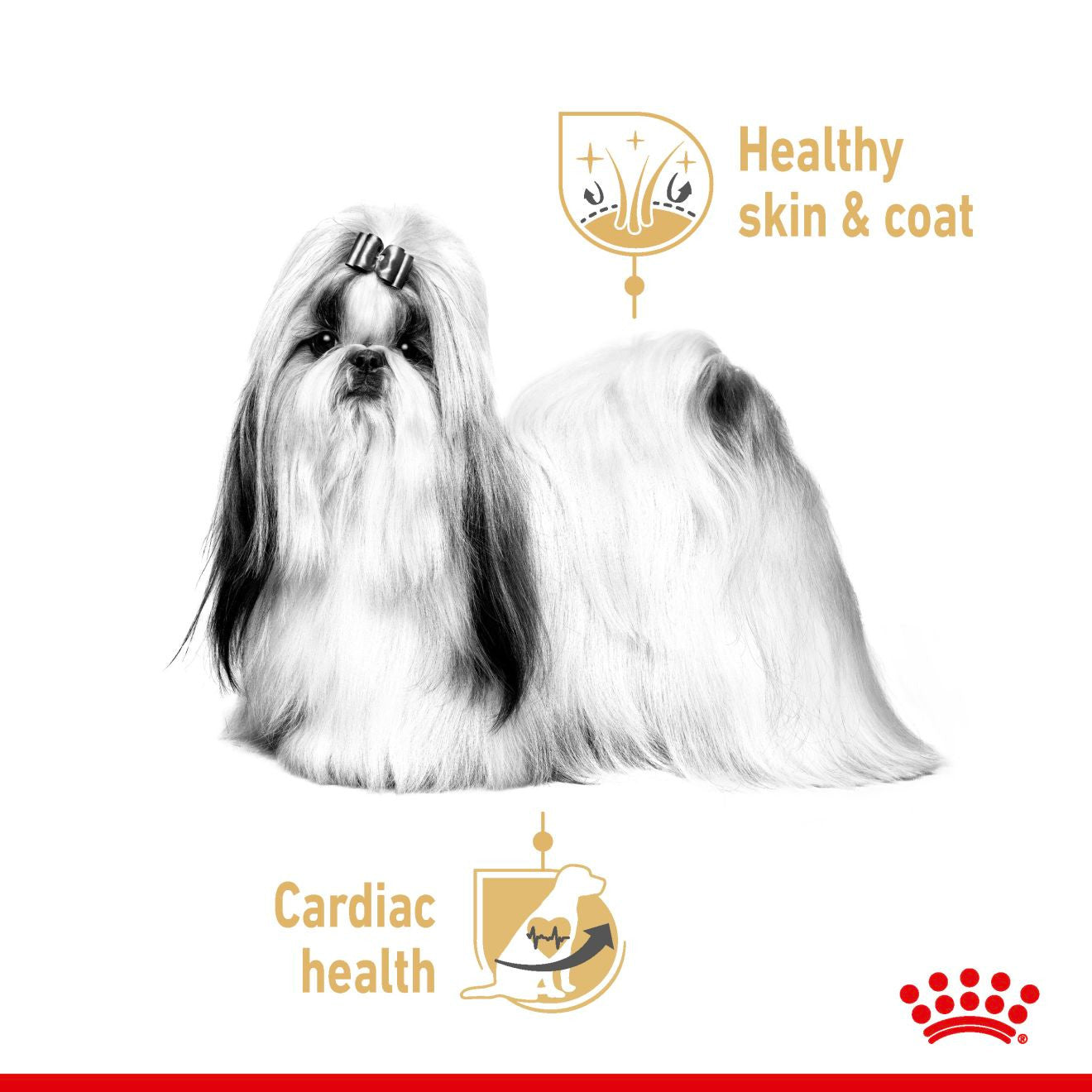 Royal Canin Breed Health Nutrition Shih Tzu Adult Wet Dog Food - 12x85g Pouches