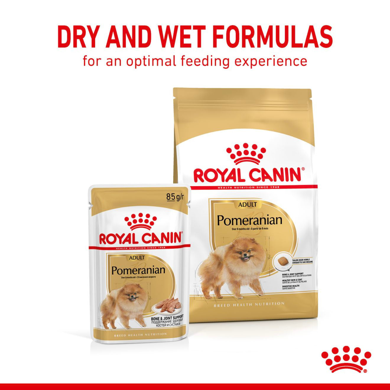 ROYAL CANIN Breed Health Nutrition Pomeranian Adult Wet Dog Food in Loaf - 12x85g Pouches