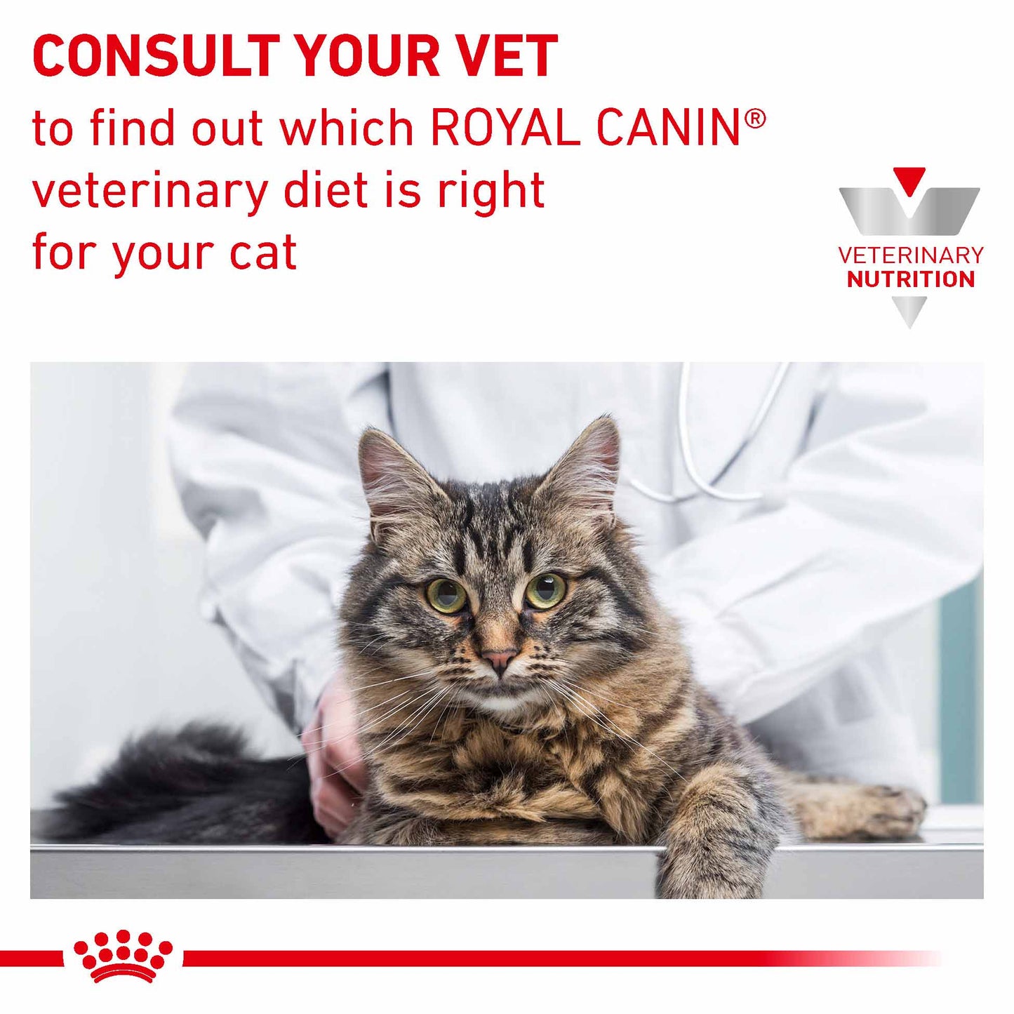 Royal Canin Veterinary Health Nutrition Renal Adult Wet Cat Food In Gravy - Fish - 48x85g Pouches